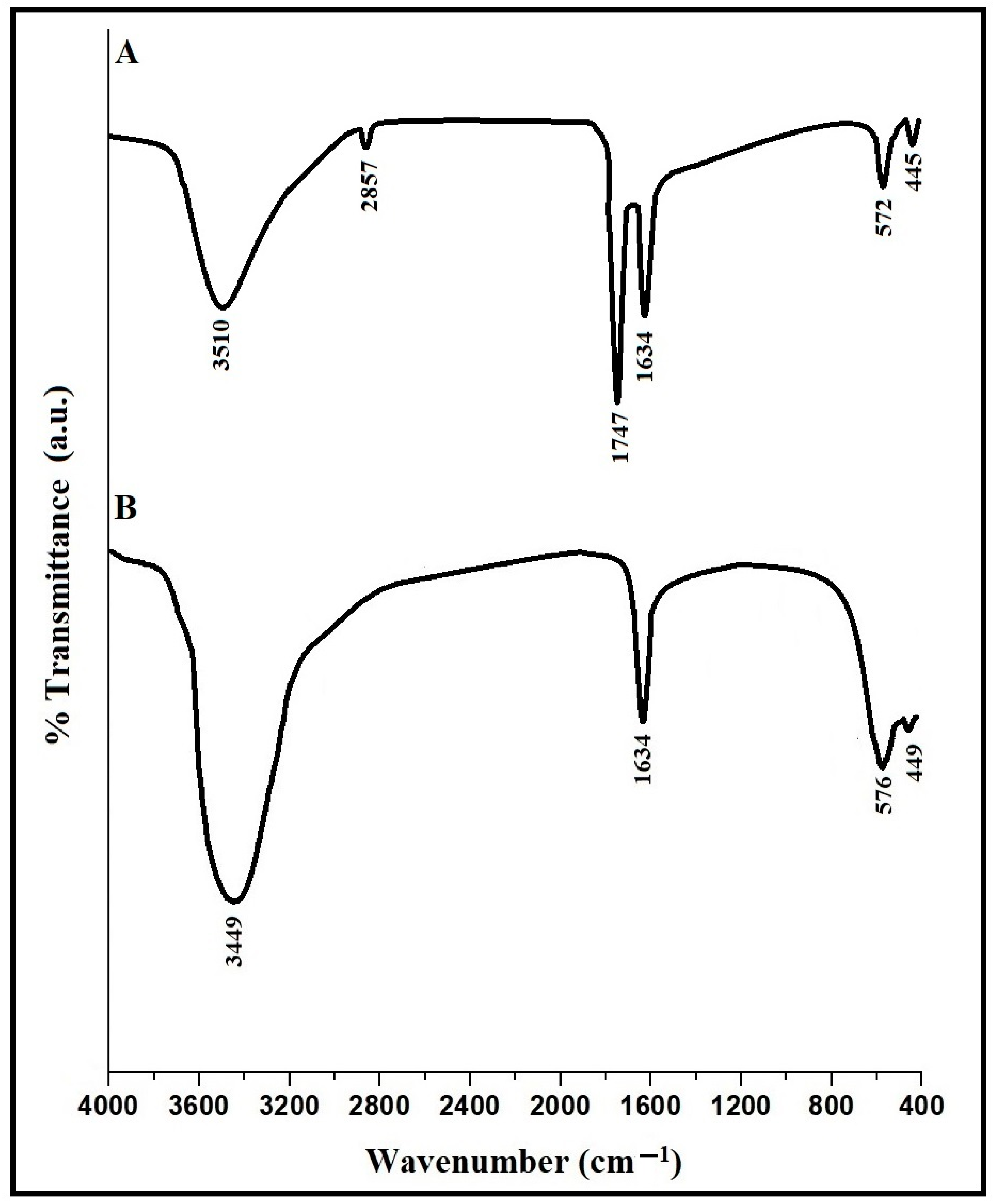 Inorganics 12 00069 g003