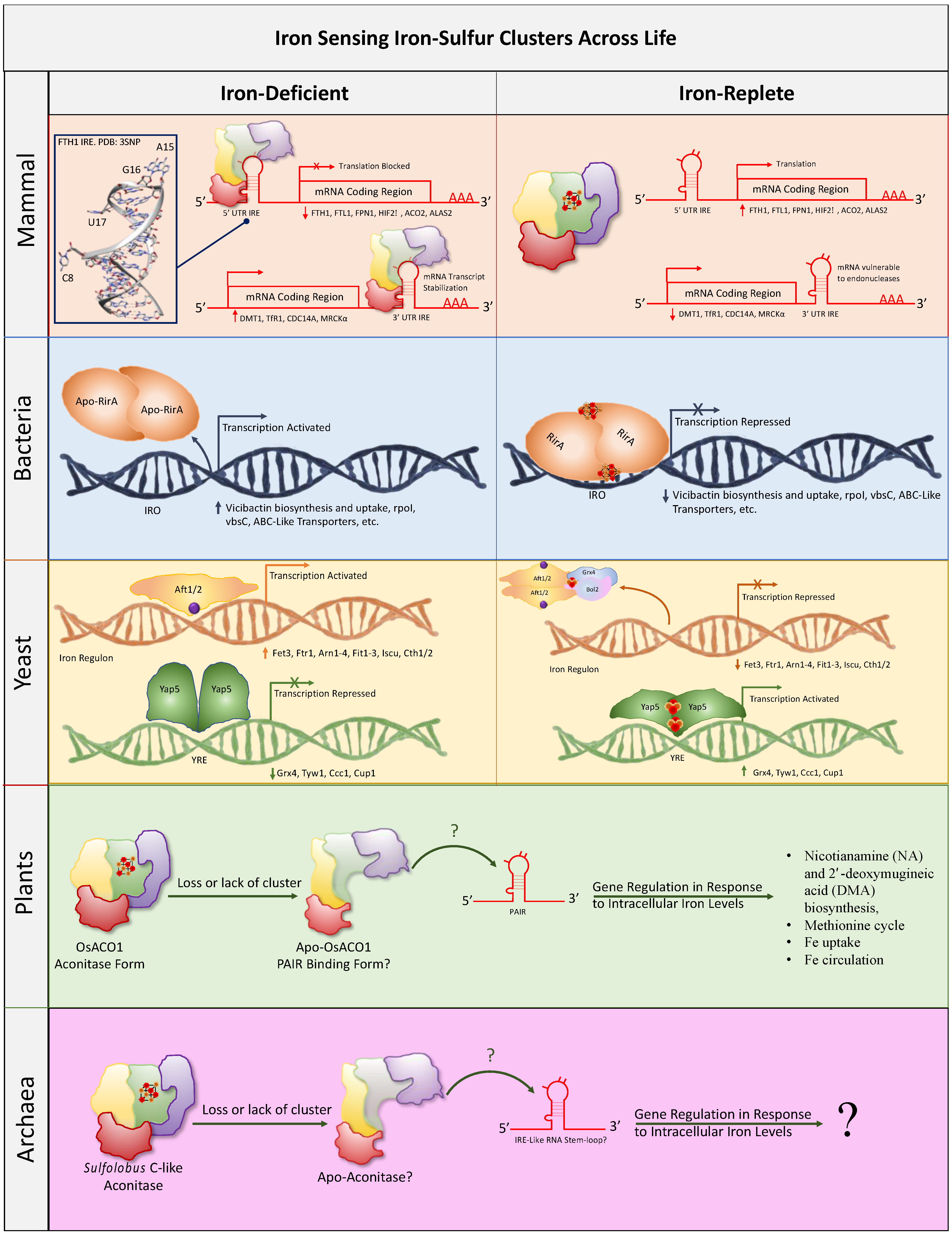Inorganics 12 00101 g003 Inorganics 12 00101 g003