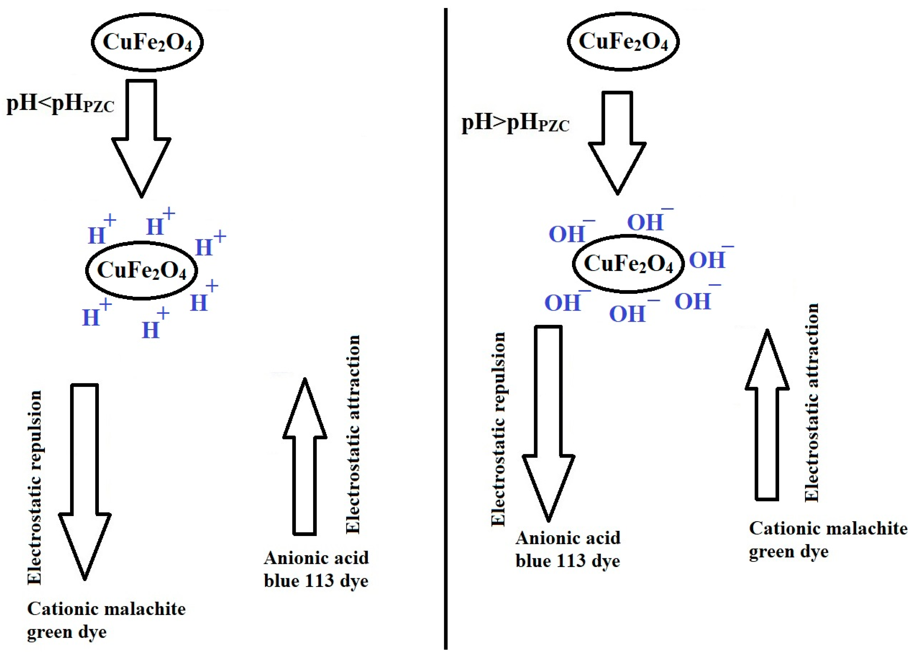 Inorganics 12 00143 sch002