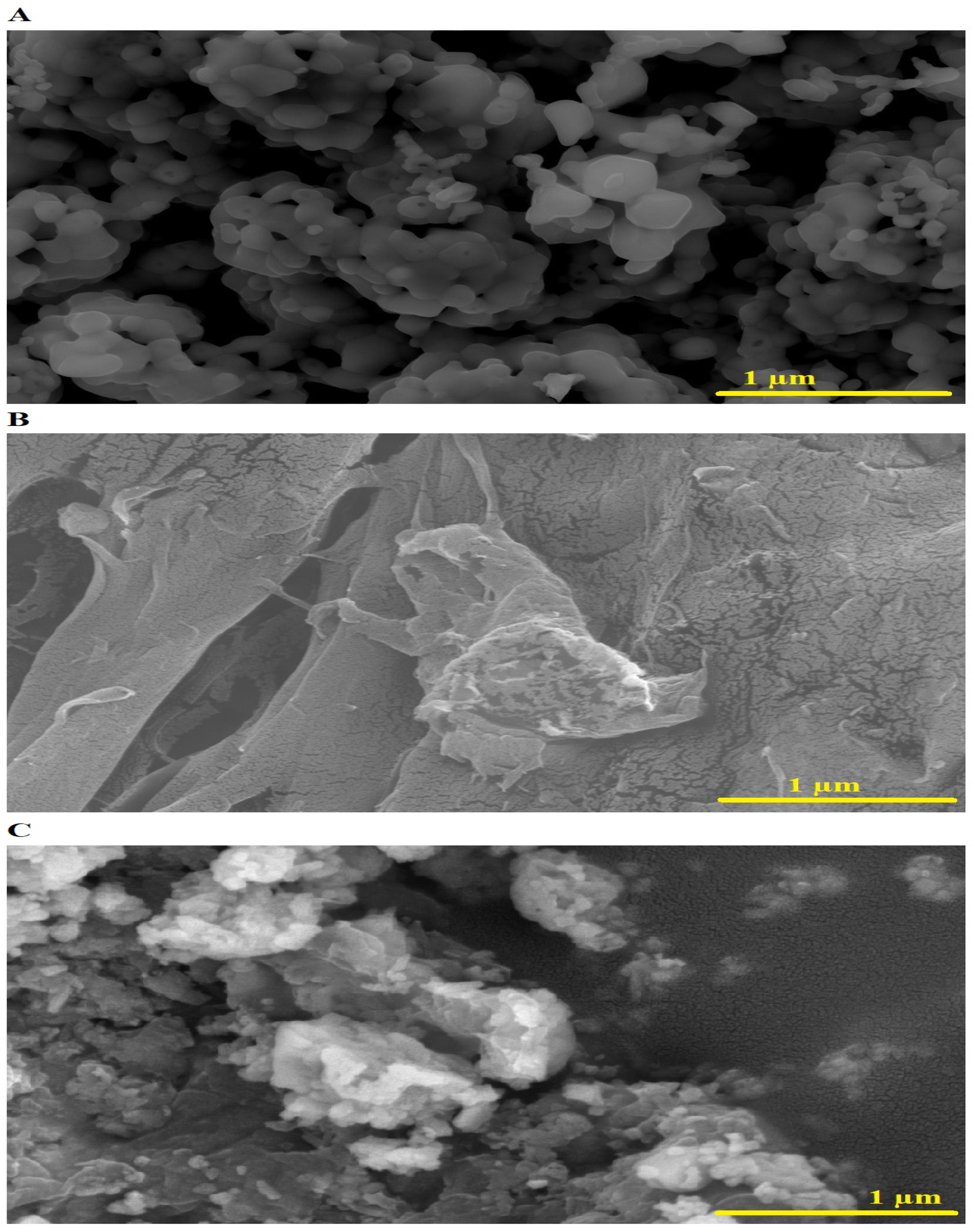 Inorganics 12 00148 g004