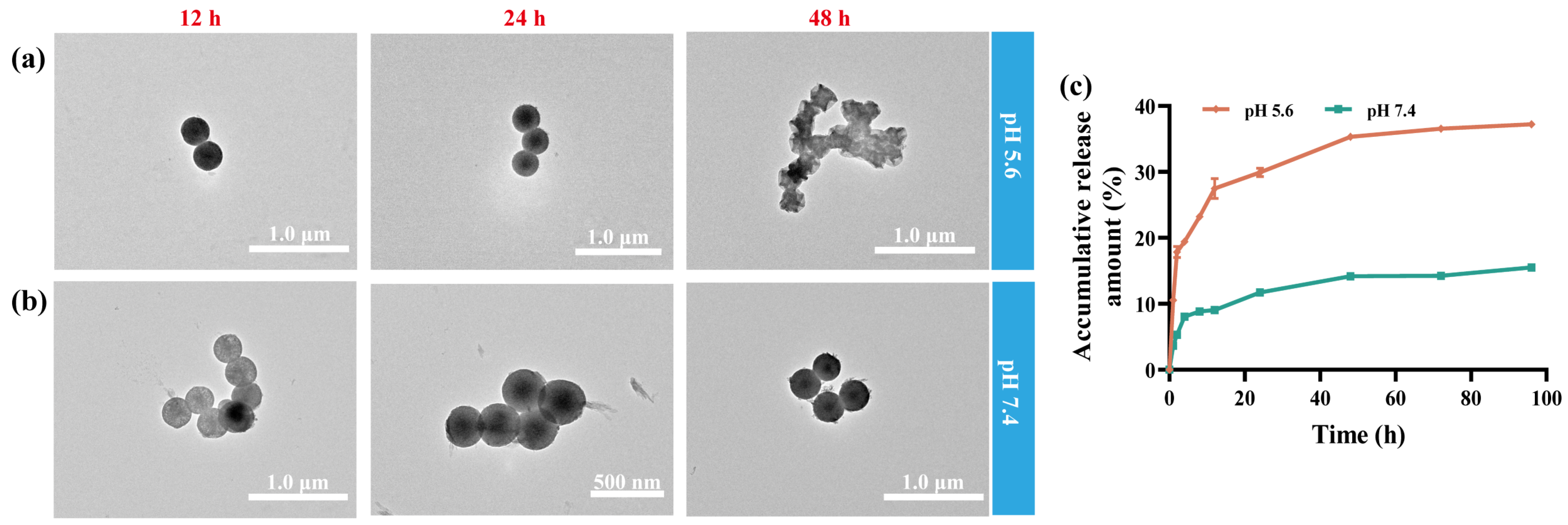 Inorganics 12 00152 g003