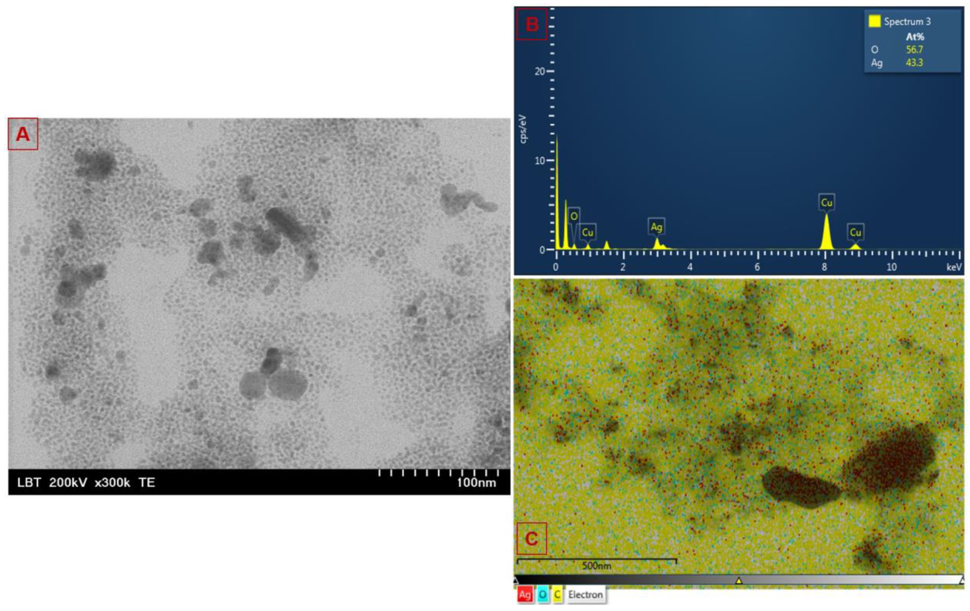 Inorganics 12 00160 g004