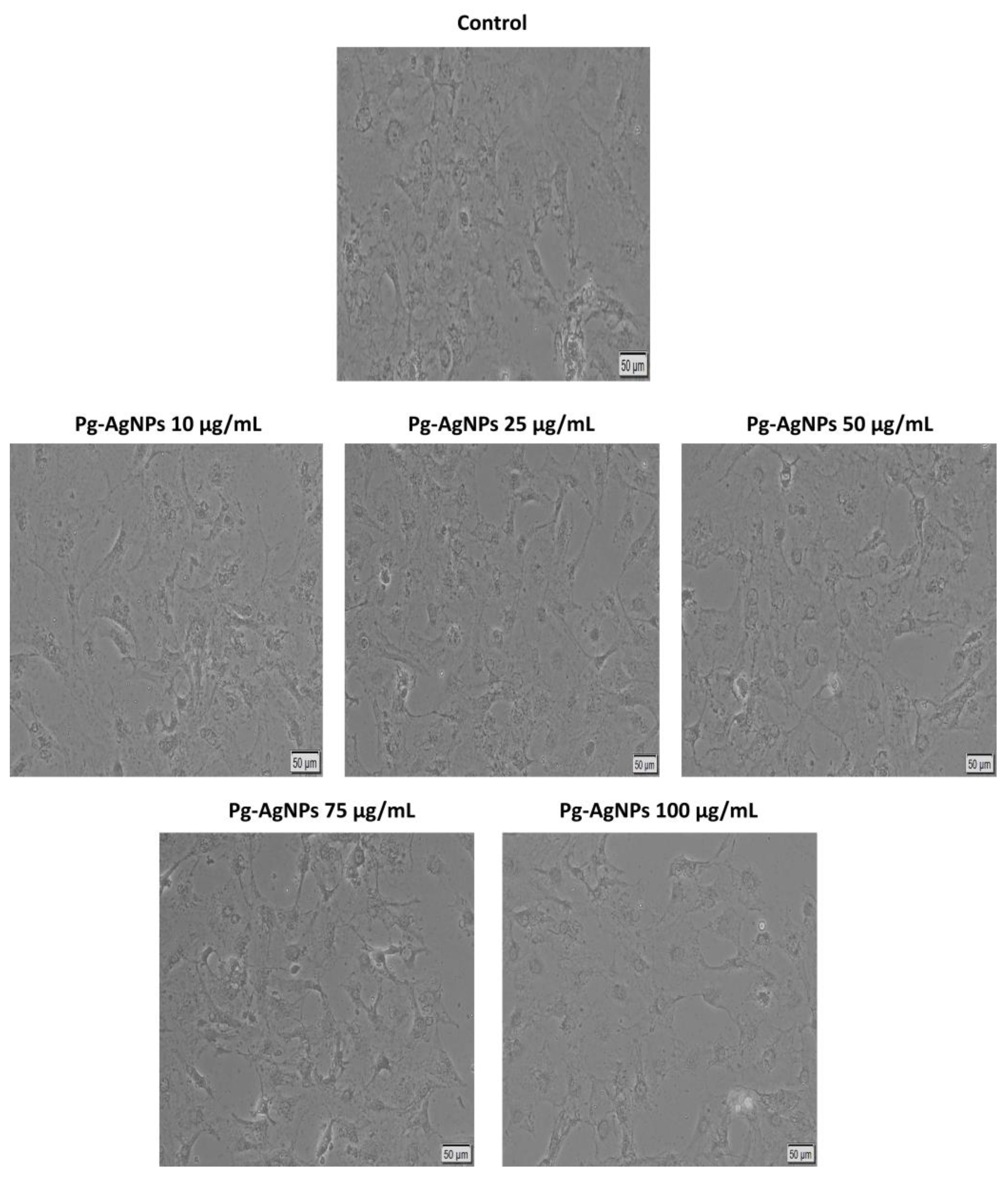 Inorganics 12 00160 g007