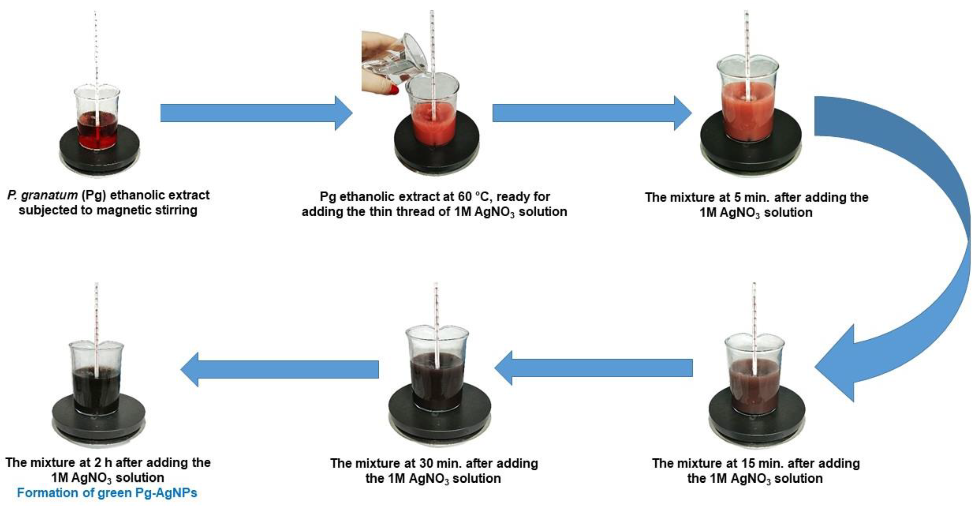 Inorganics 12 00160 g012