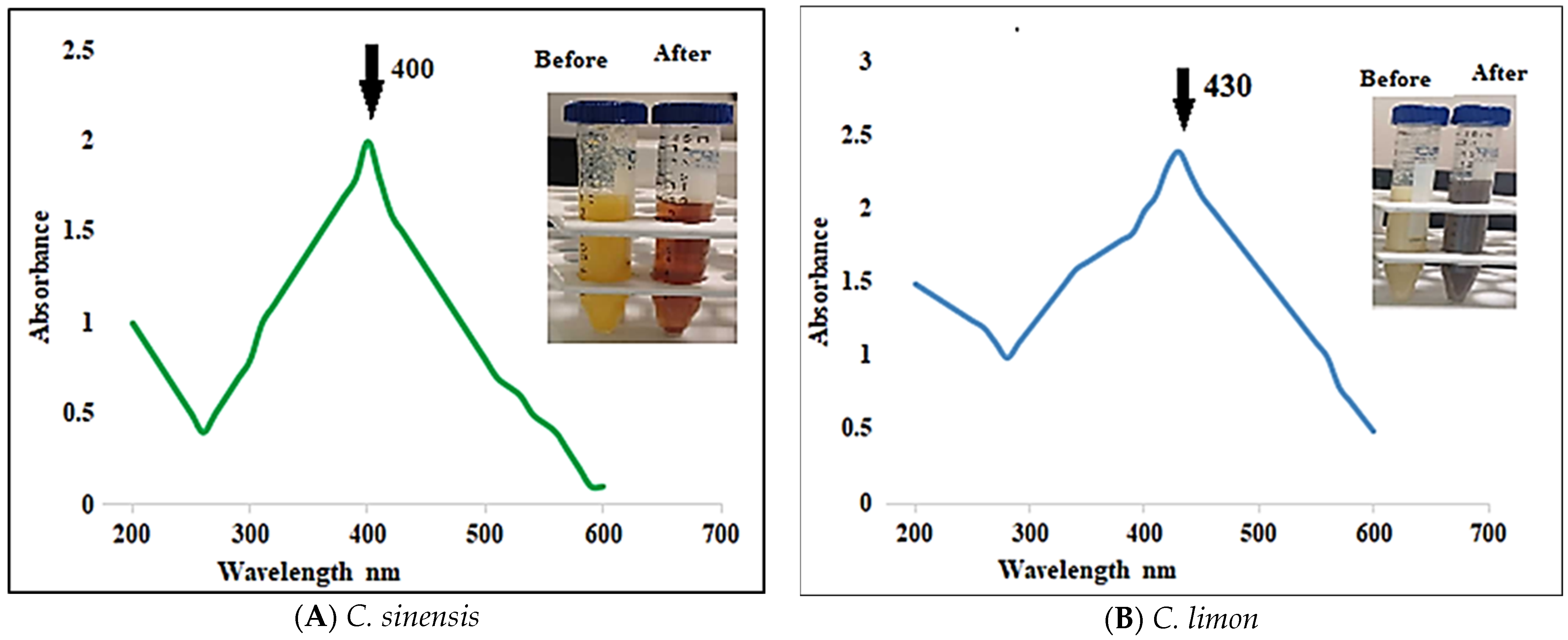 Inorganics 12 00180 g001