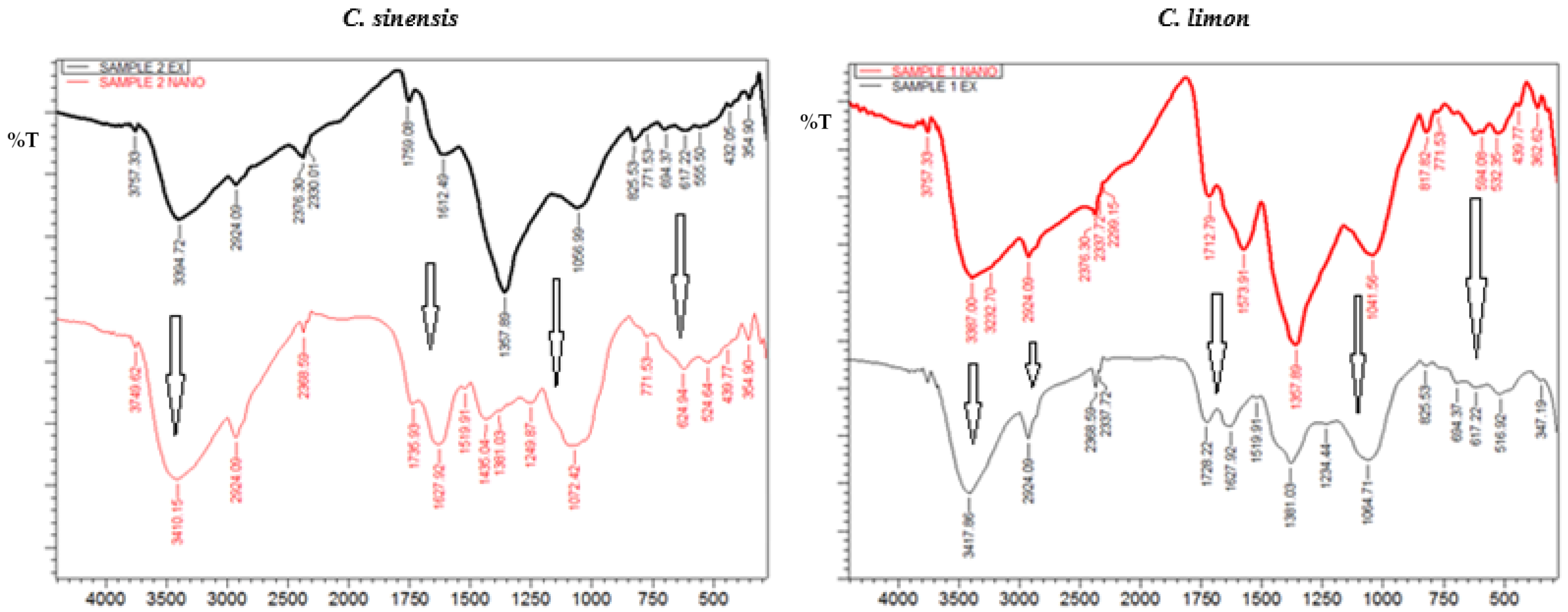 Inorganics 12 00180 g005