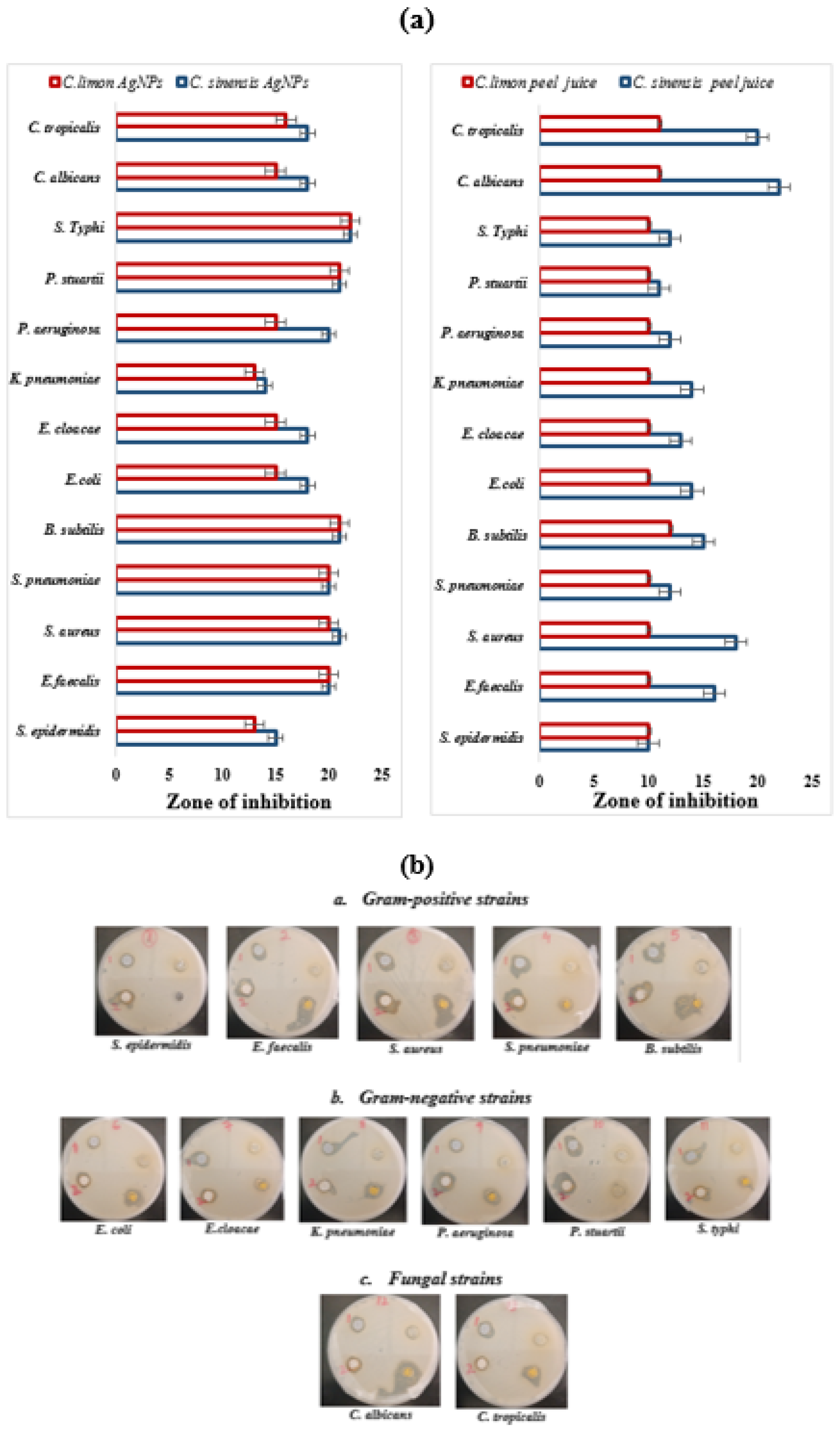 Inorganics 12 00180 g006