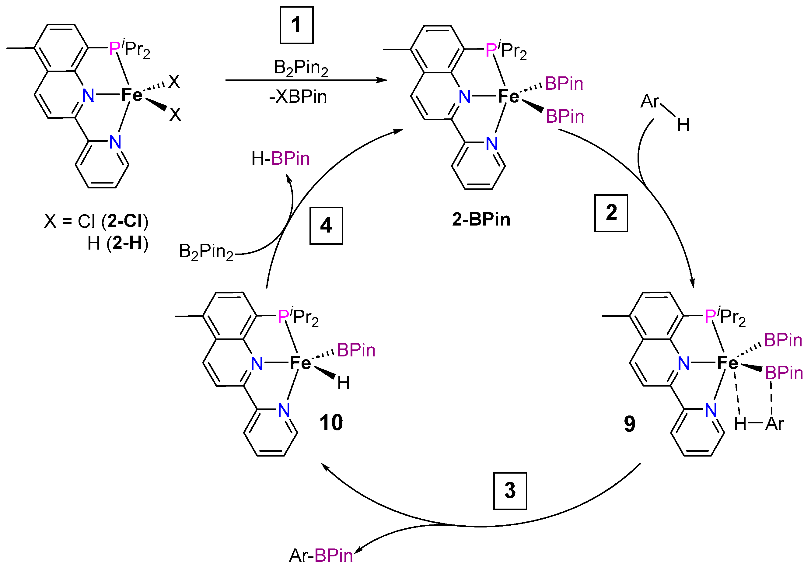 Inorganics 12 00221 sch002