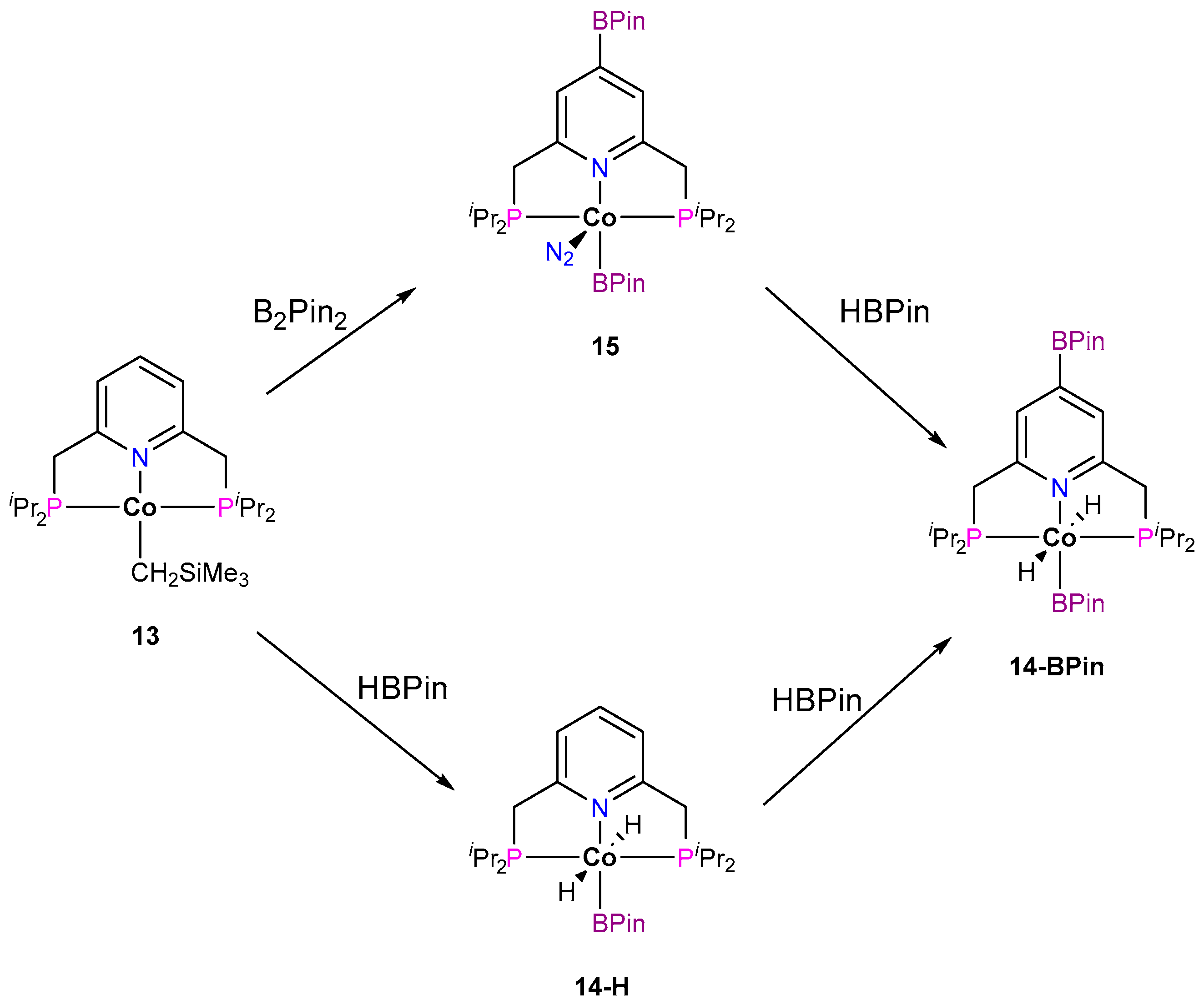 Inorganics 12 00221 sch013
