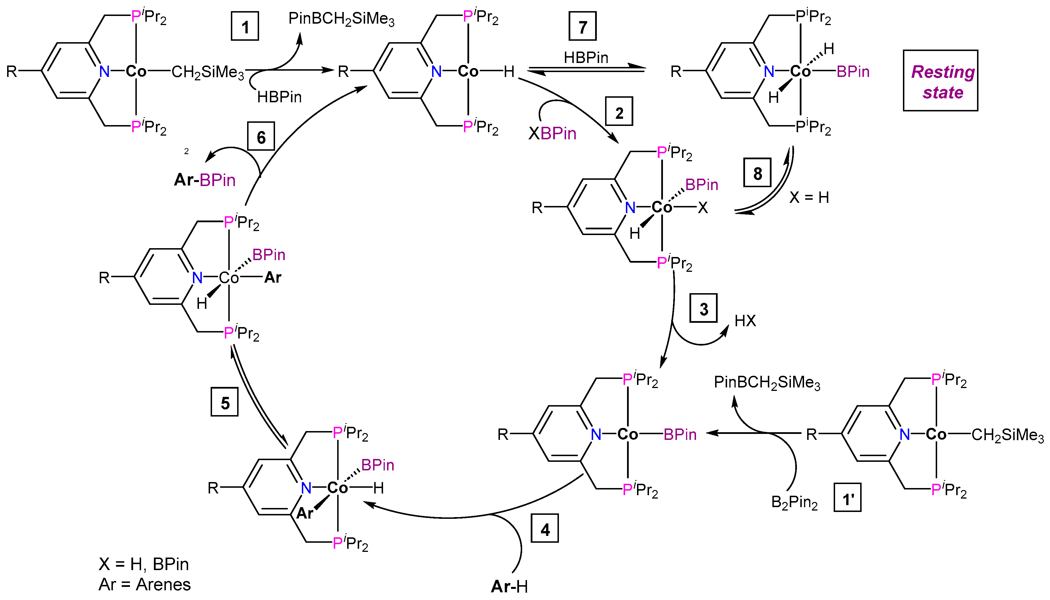 Inorganics 12 00221 sch014