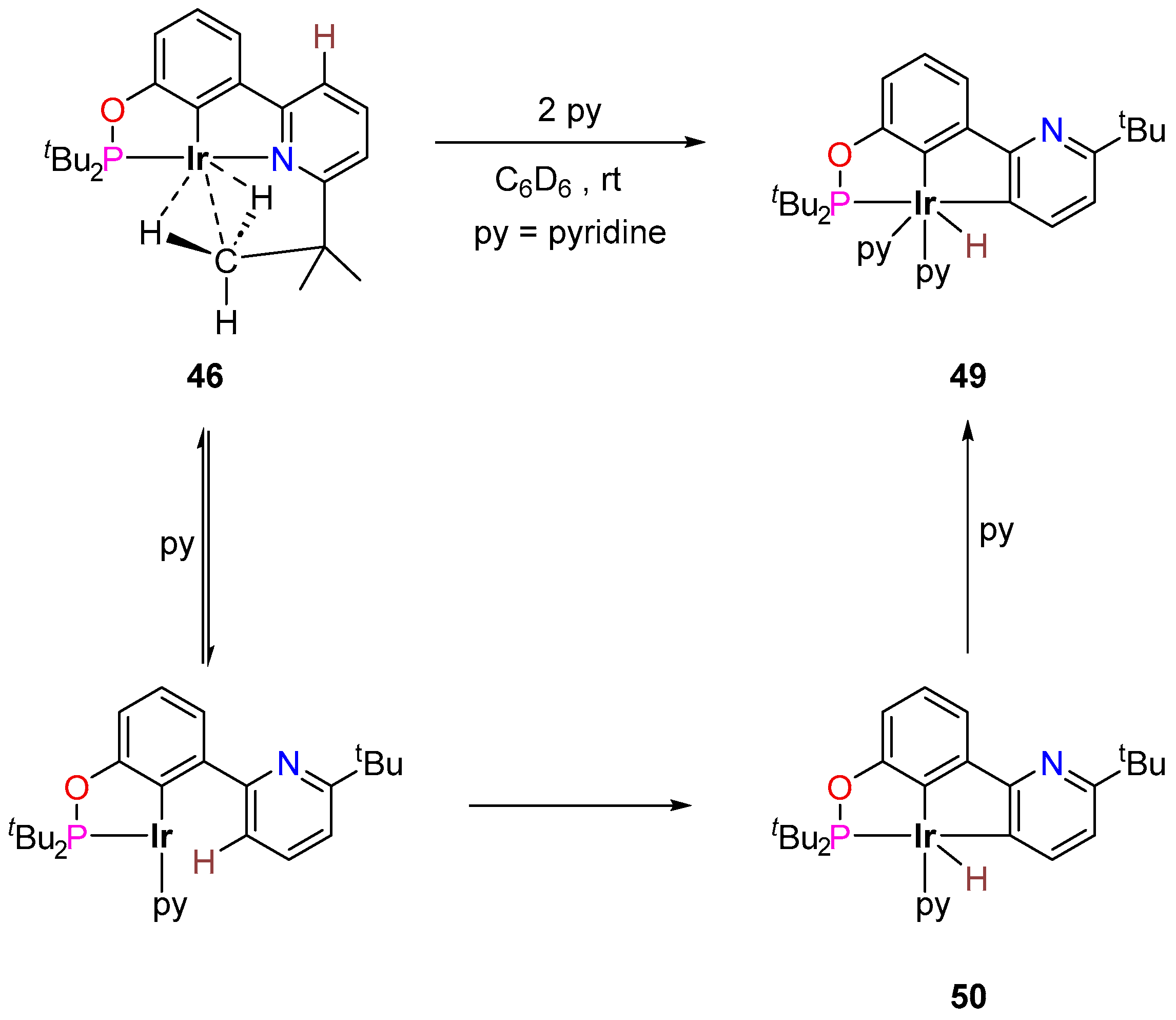 Inorganics 12 00221 sch028