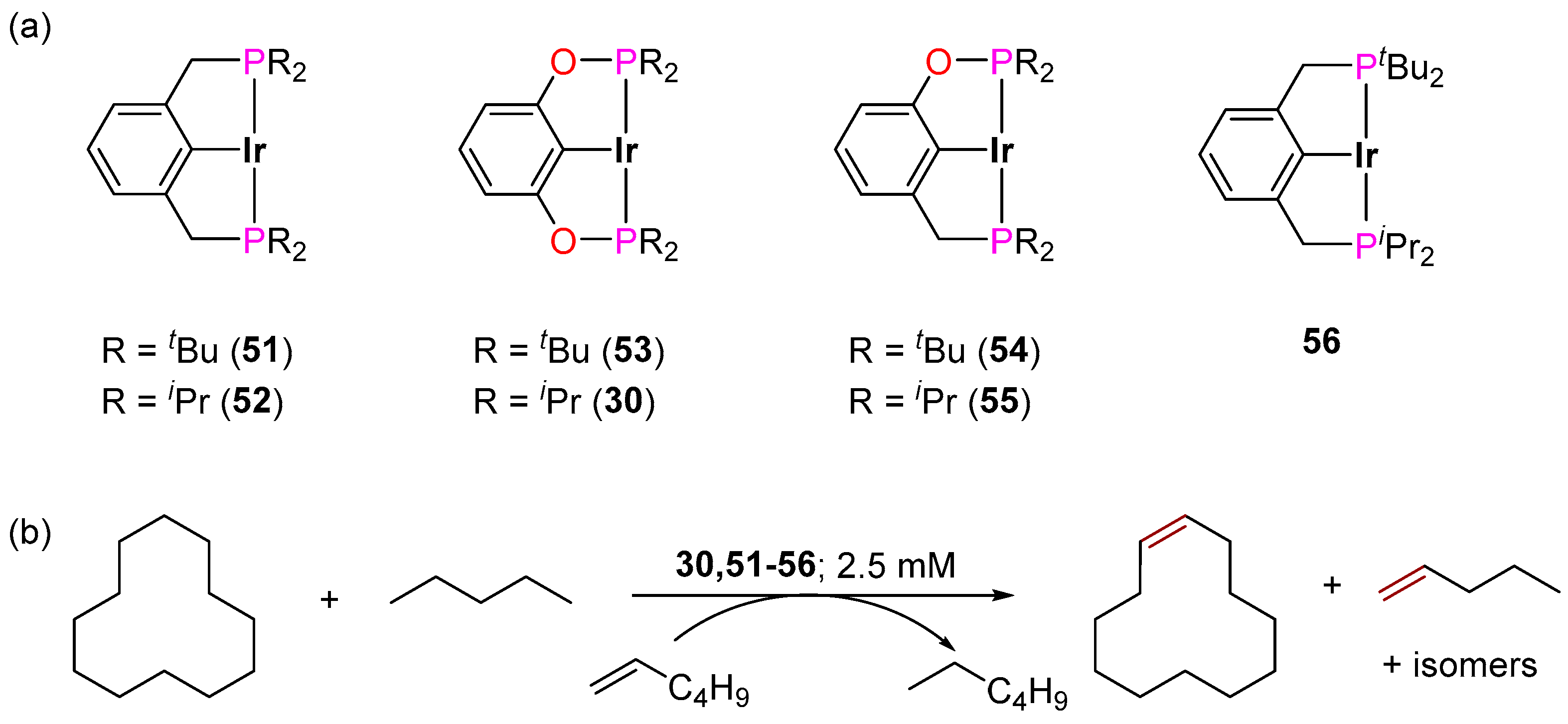 Inorganics 12 00221 sch029