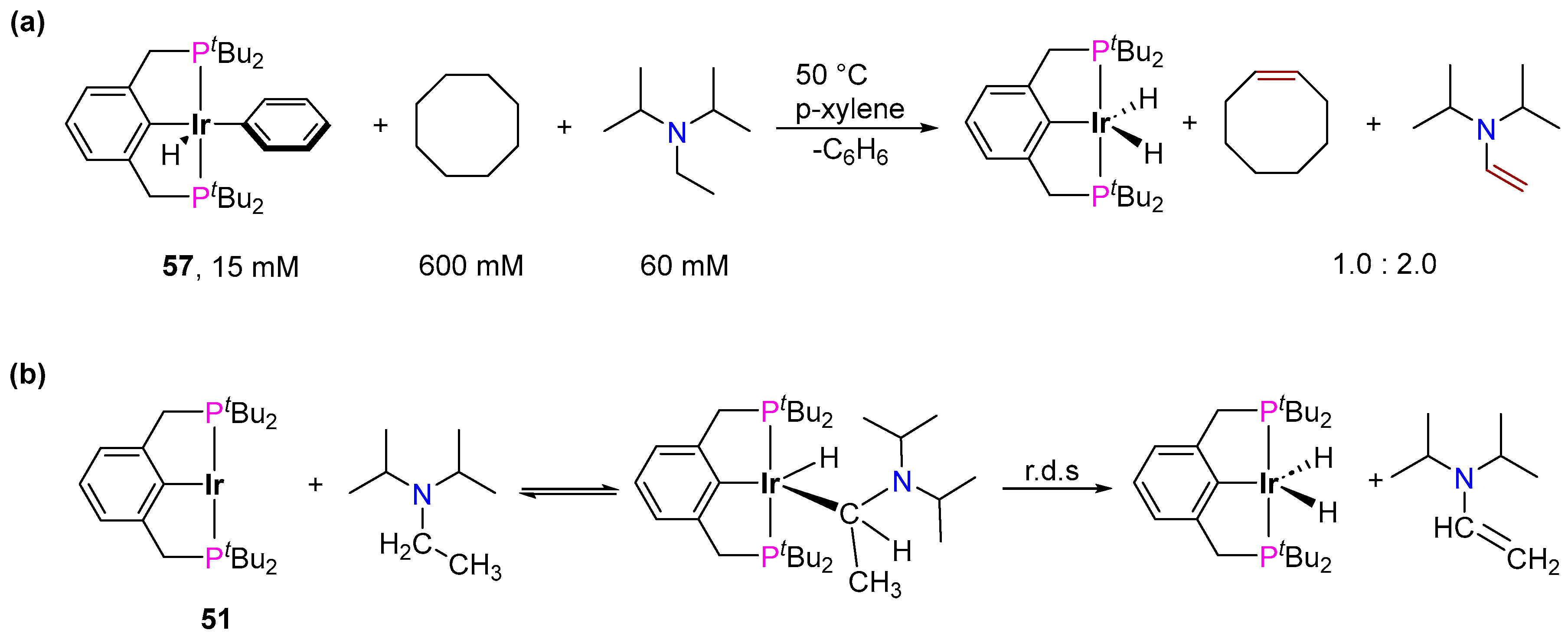 Inorganics 12 00221 sch031