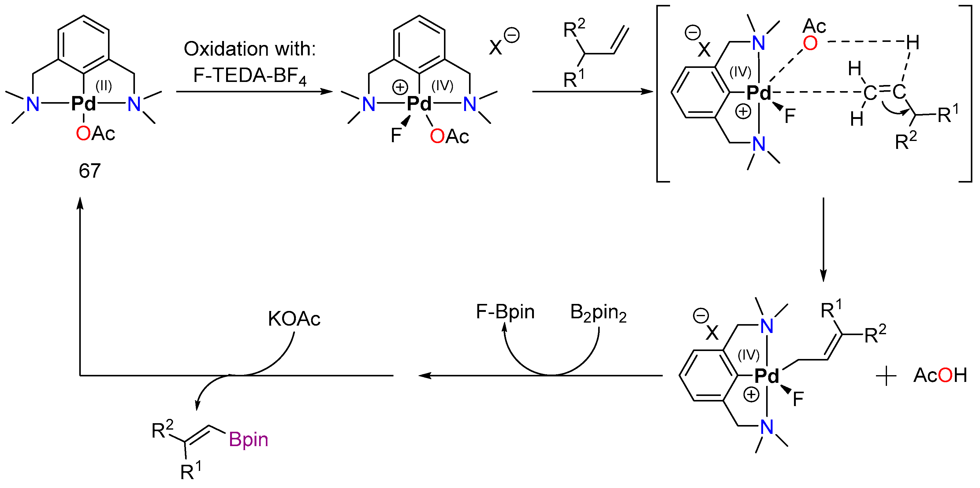 Inorganics 12 00221 sch038