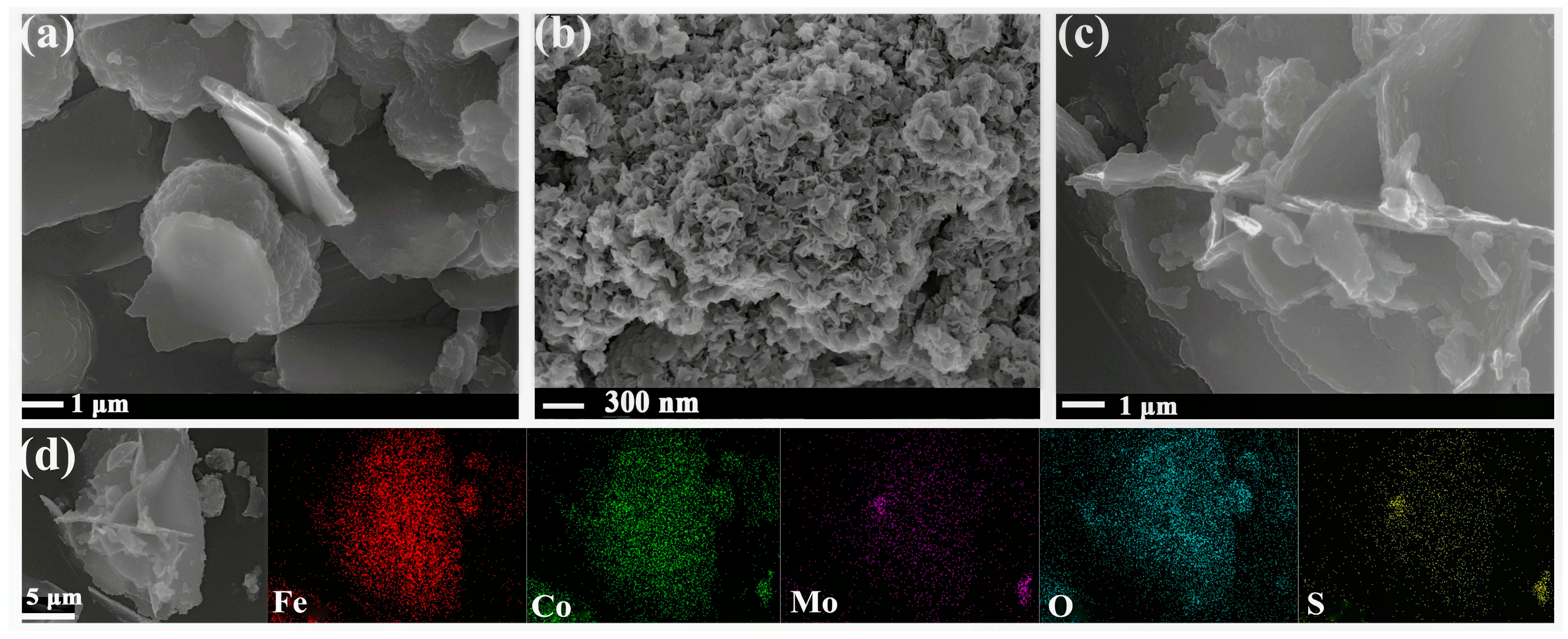 Inorganics 12 00229 g001