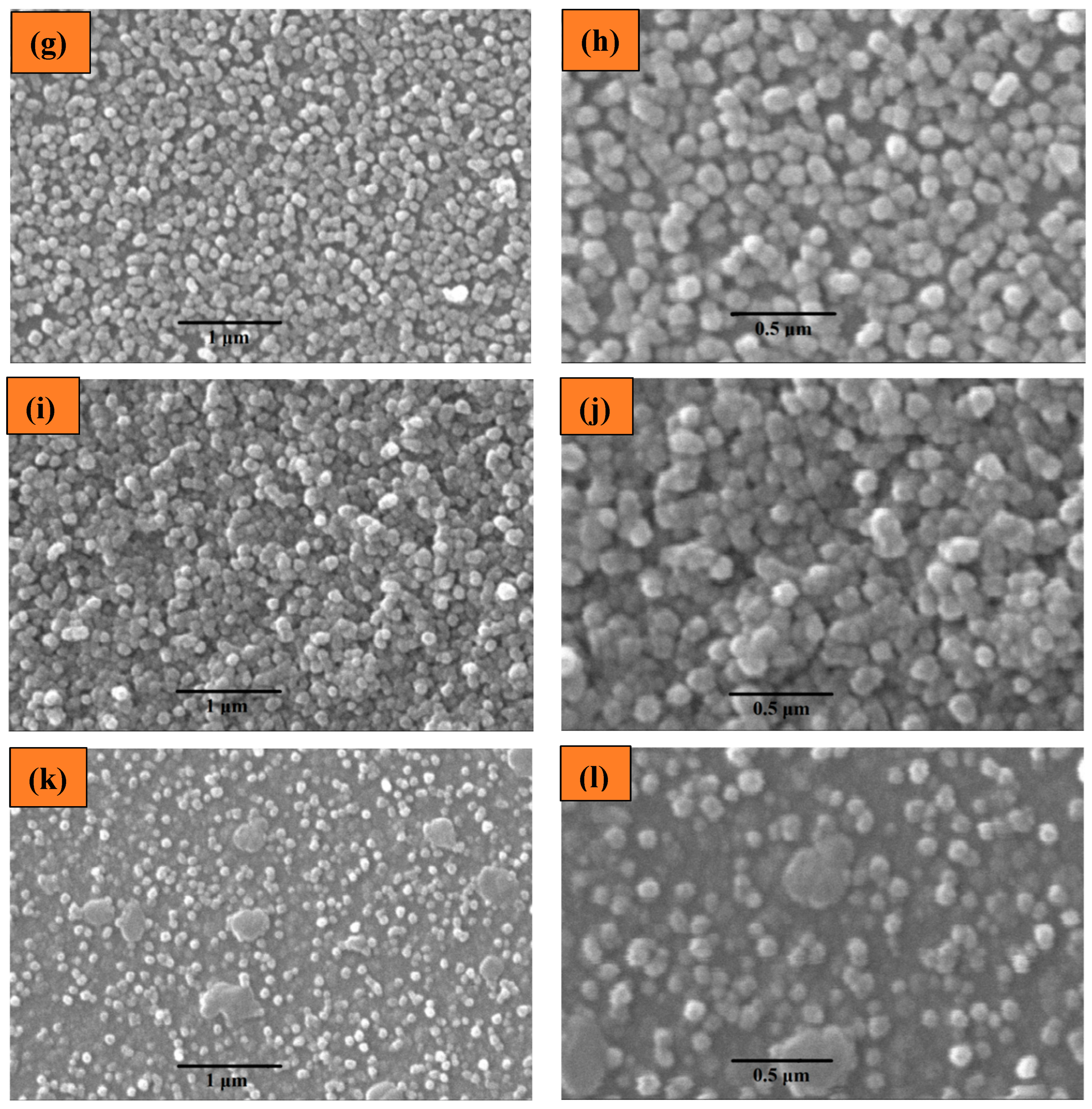 Inorganics 12 00236 g003b