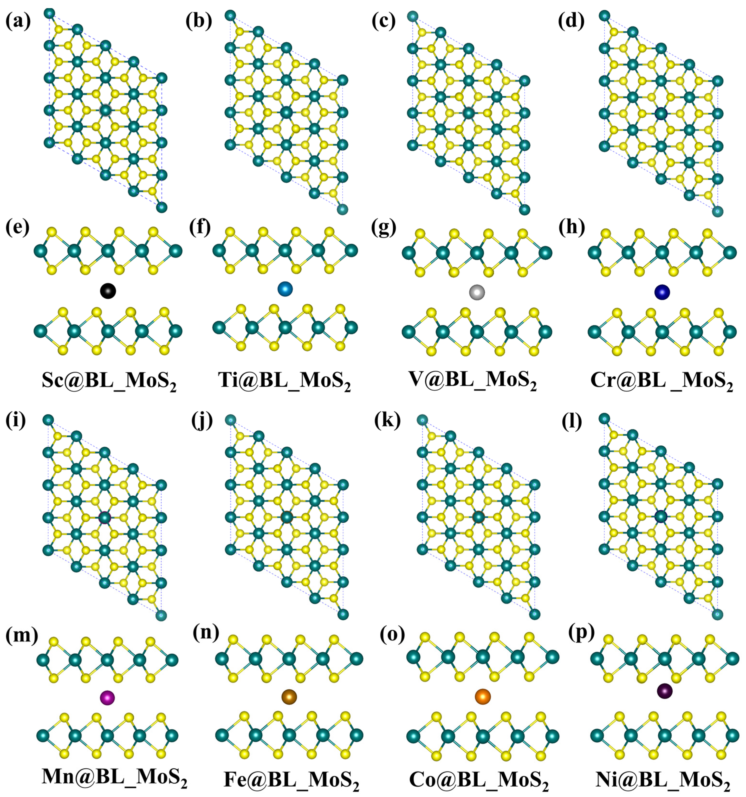 Inorganics 12 00237 g002
