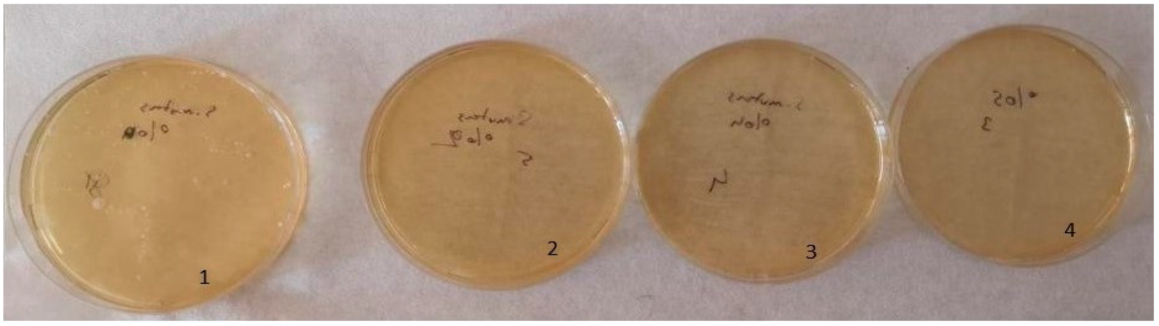 Inorganics 12 00258 g013