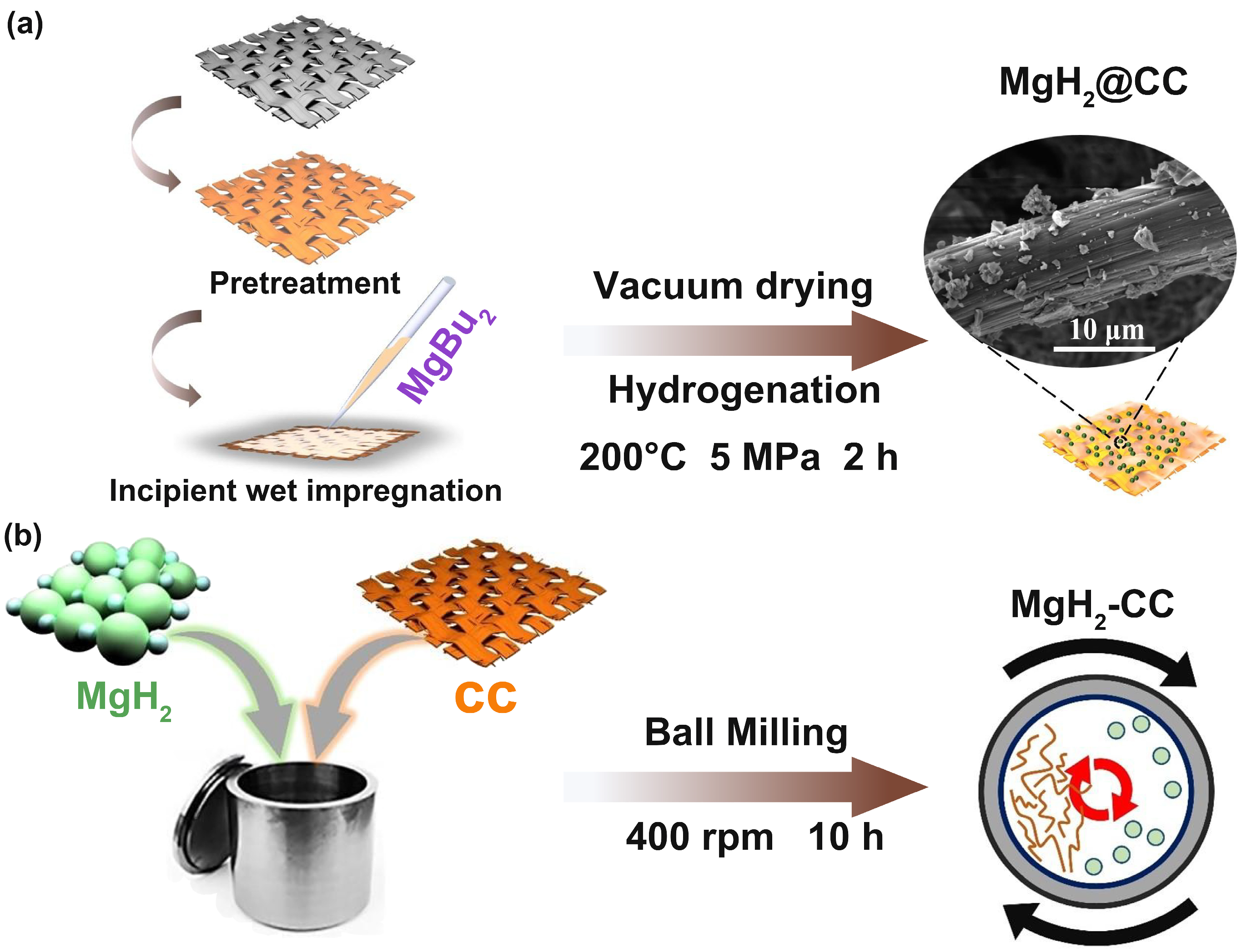 Inorganics 12 00273 g001