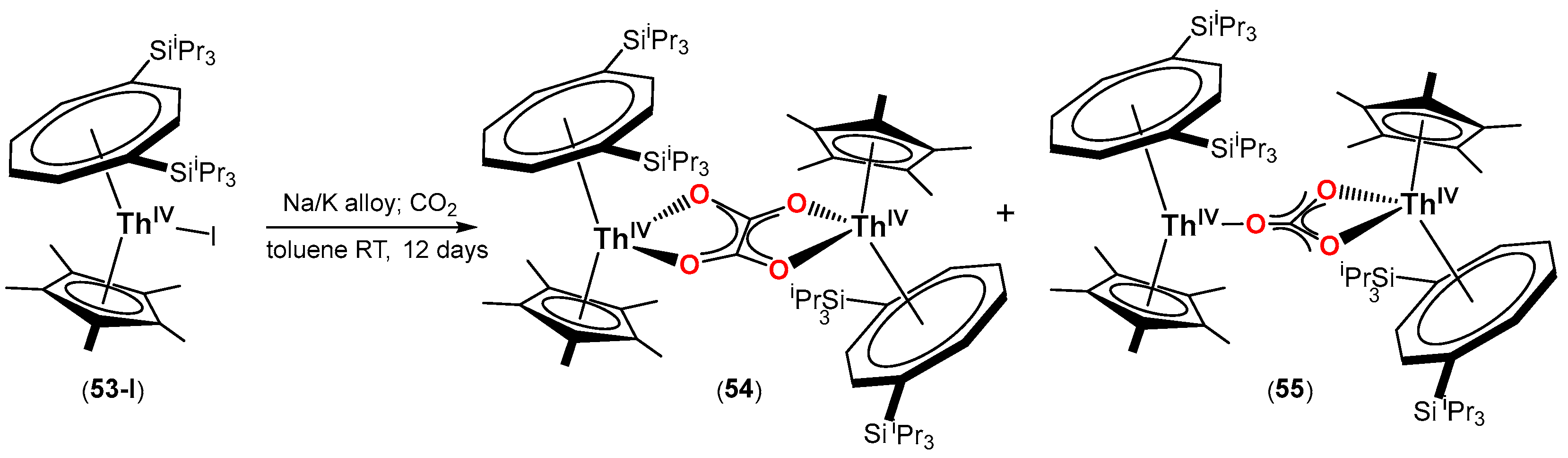 Inorganics 12 00275 sch017