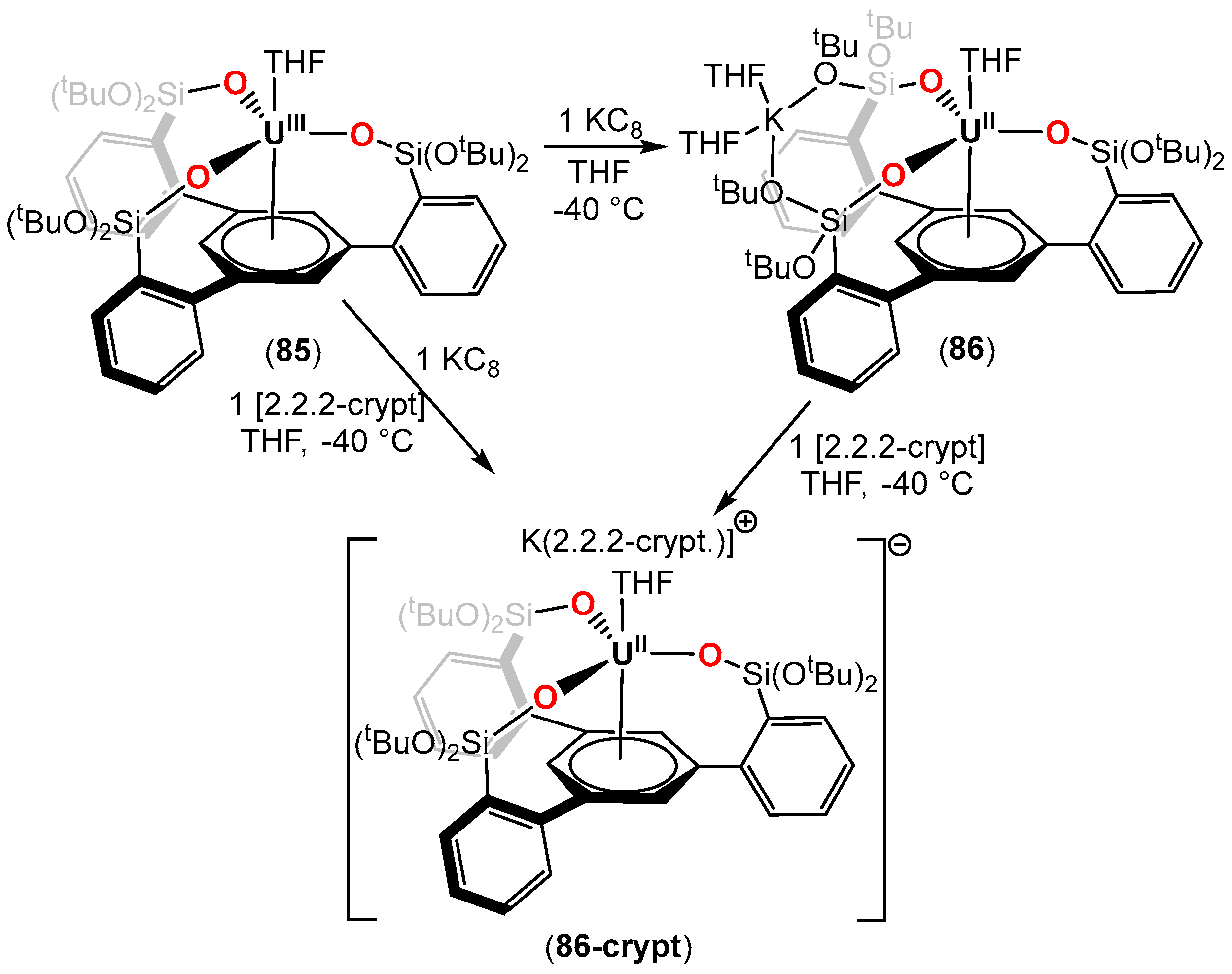 Inorganics 12 00275 sch021b