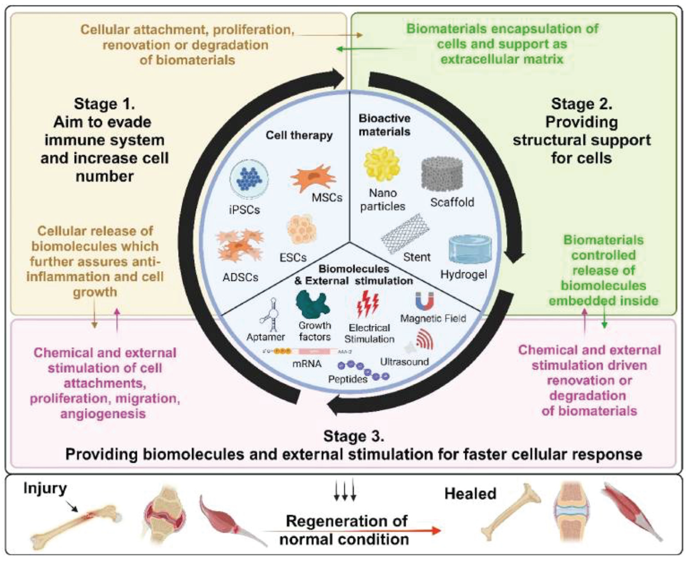 Inorganics 12 00292 g001
