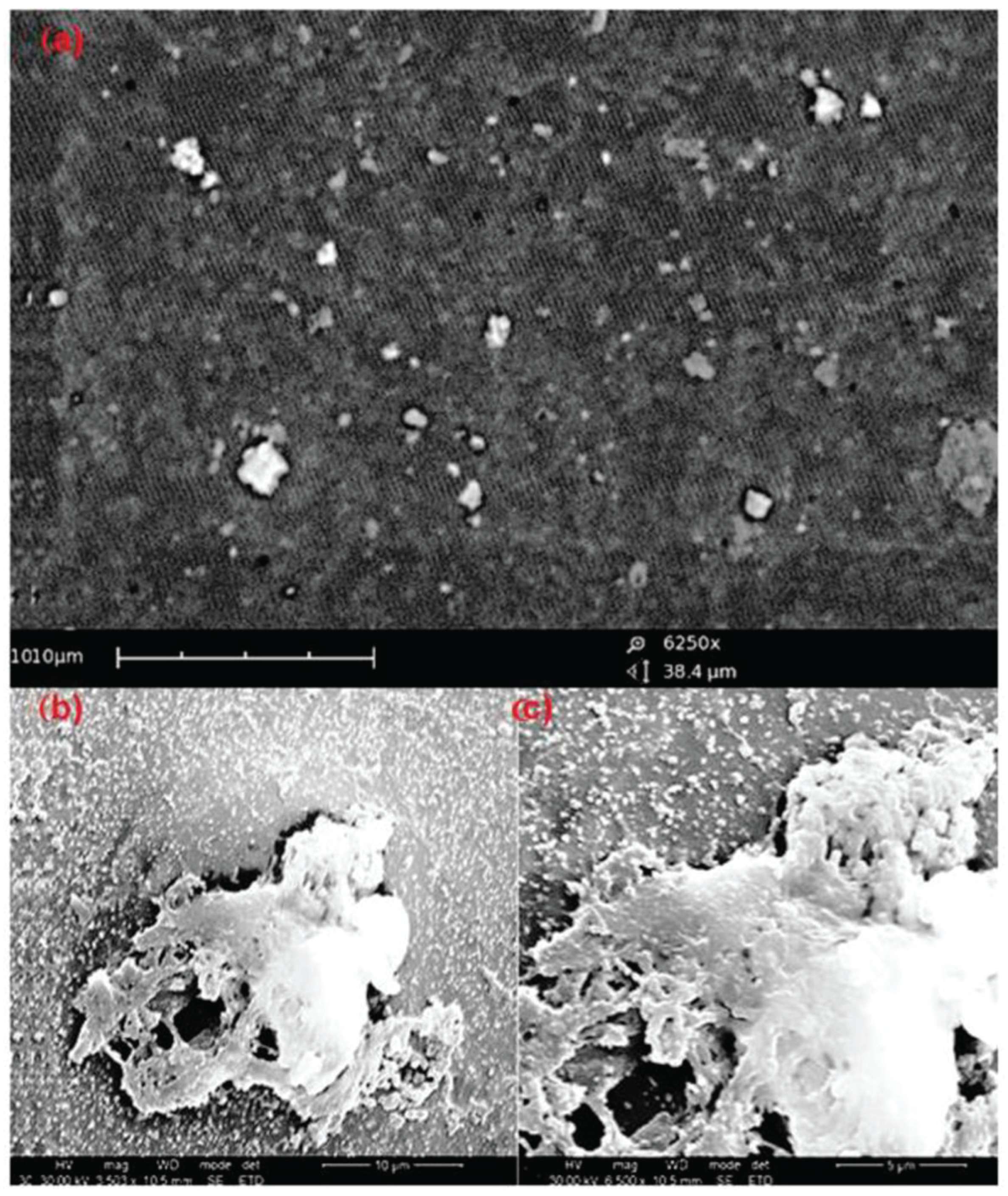 Inorganics 12 00292 g004