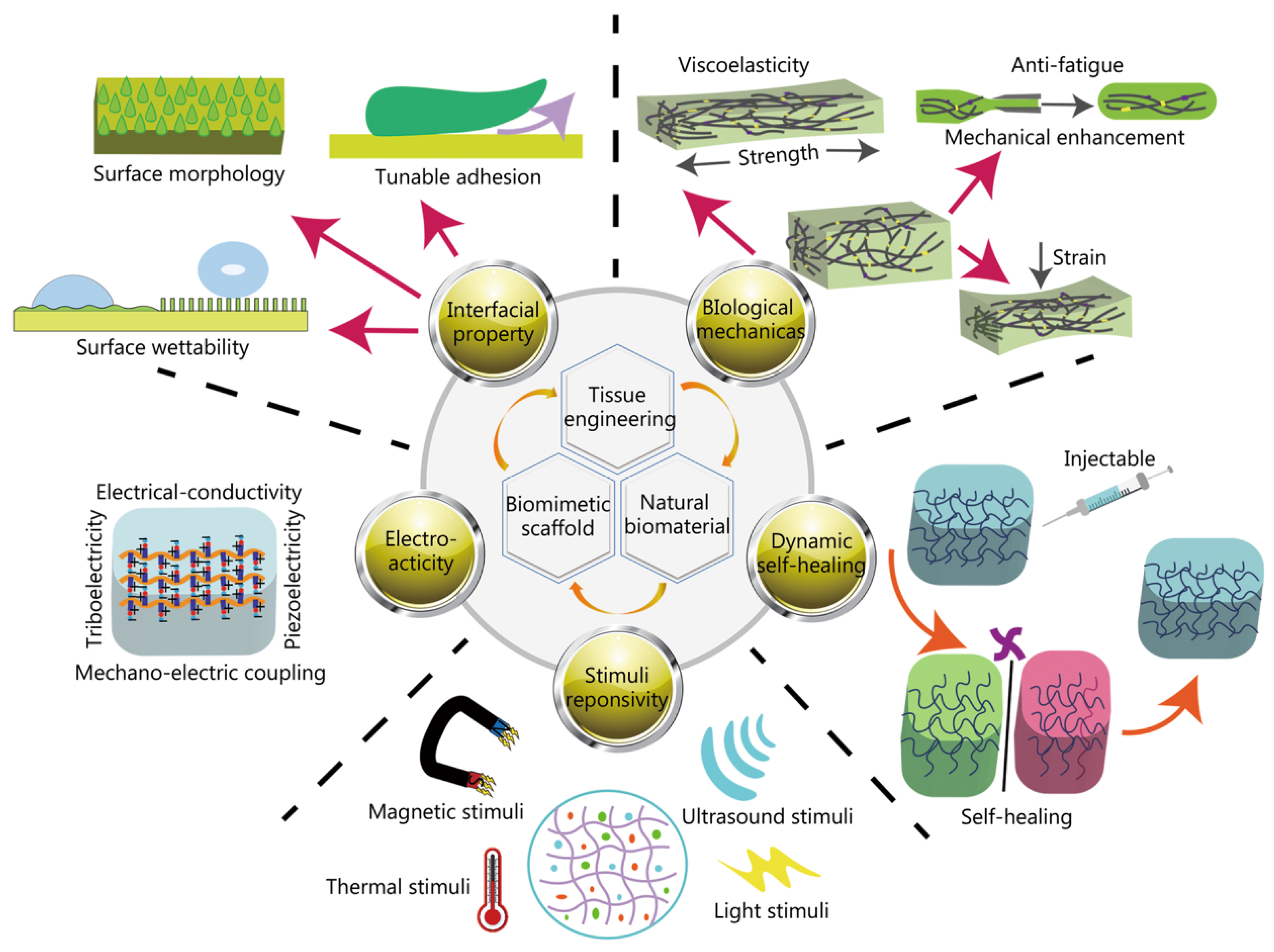 Inorganics 12 00292 g012