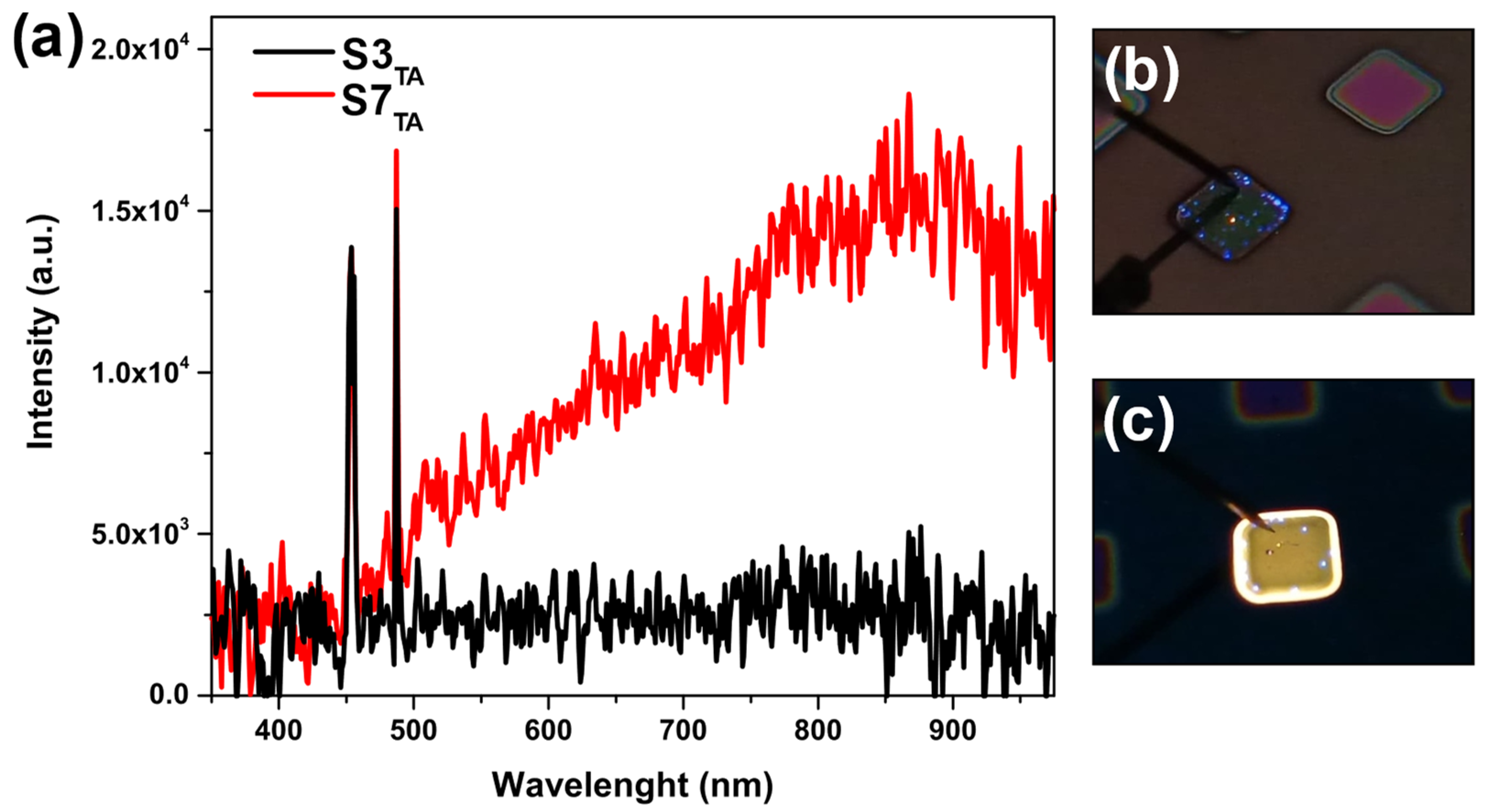 Inorganics 12 00298 g005