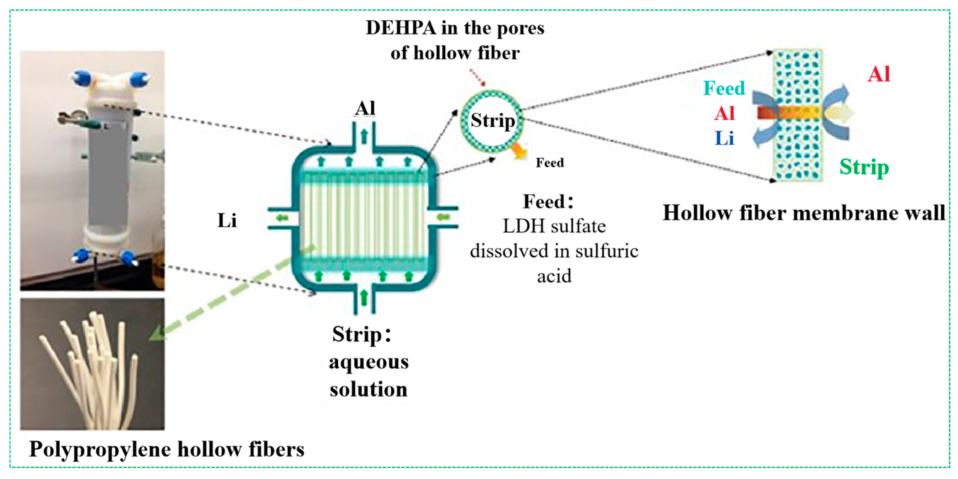 Inorganics 13 00004 g007