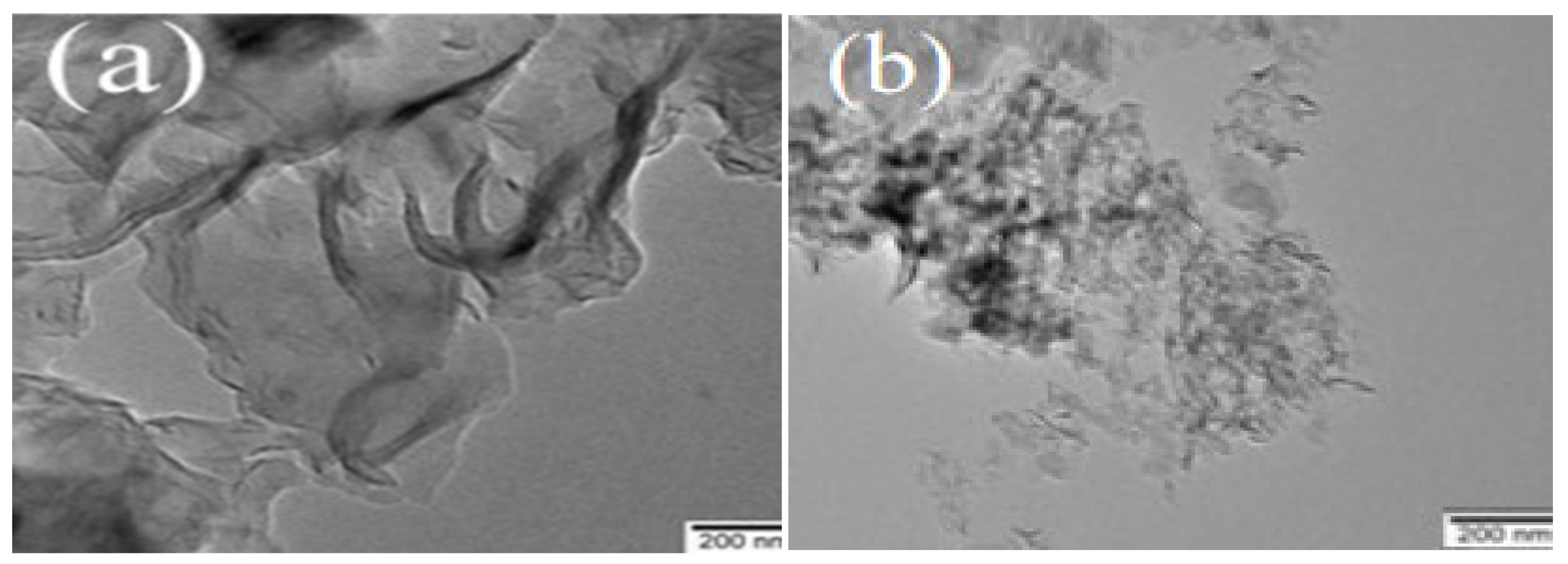 Inorganics 13 00077 g004