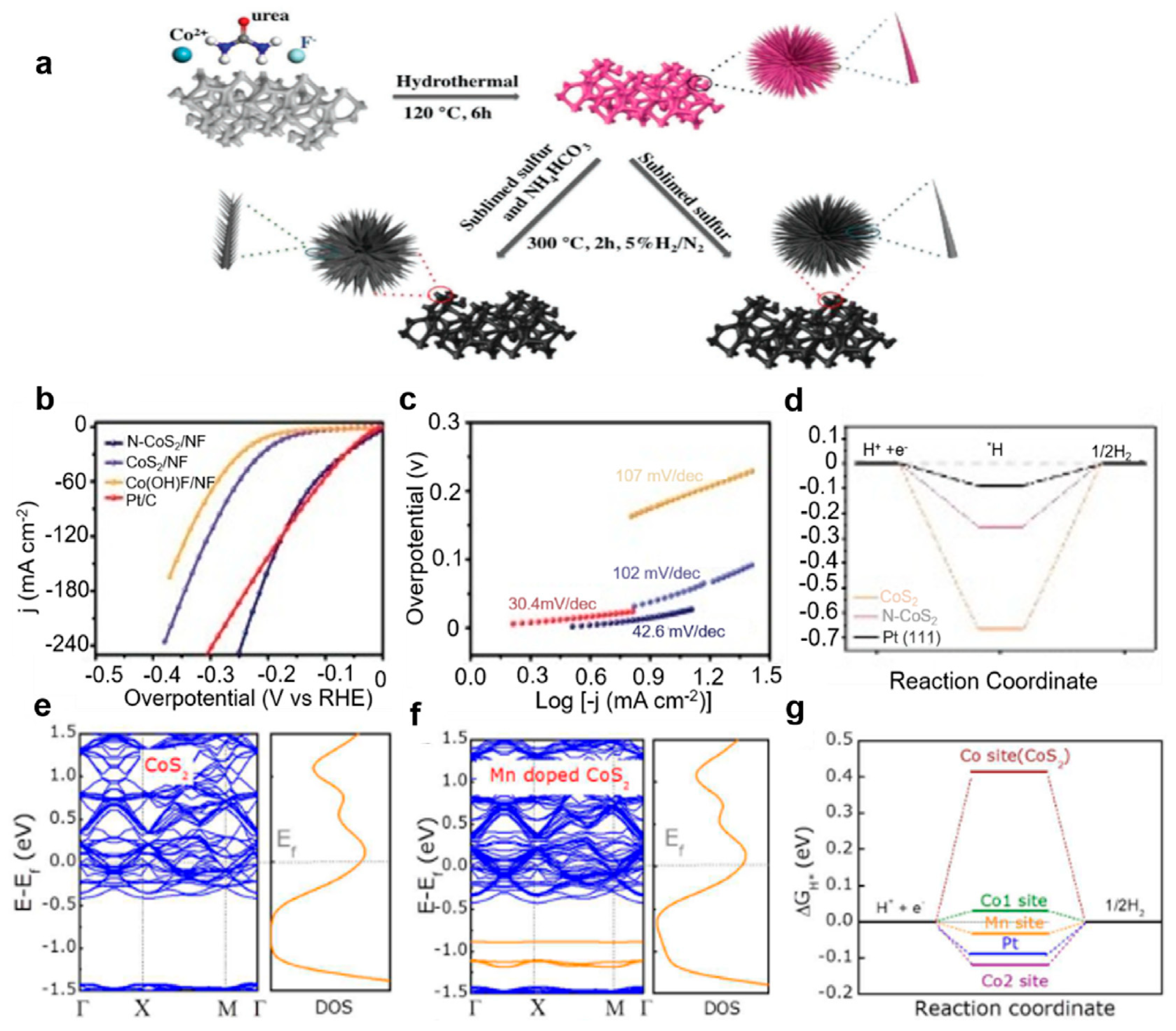 Inorganics 13 00084 g006