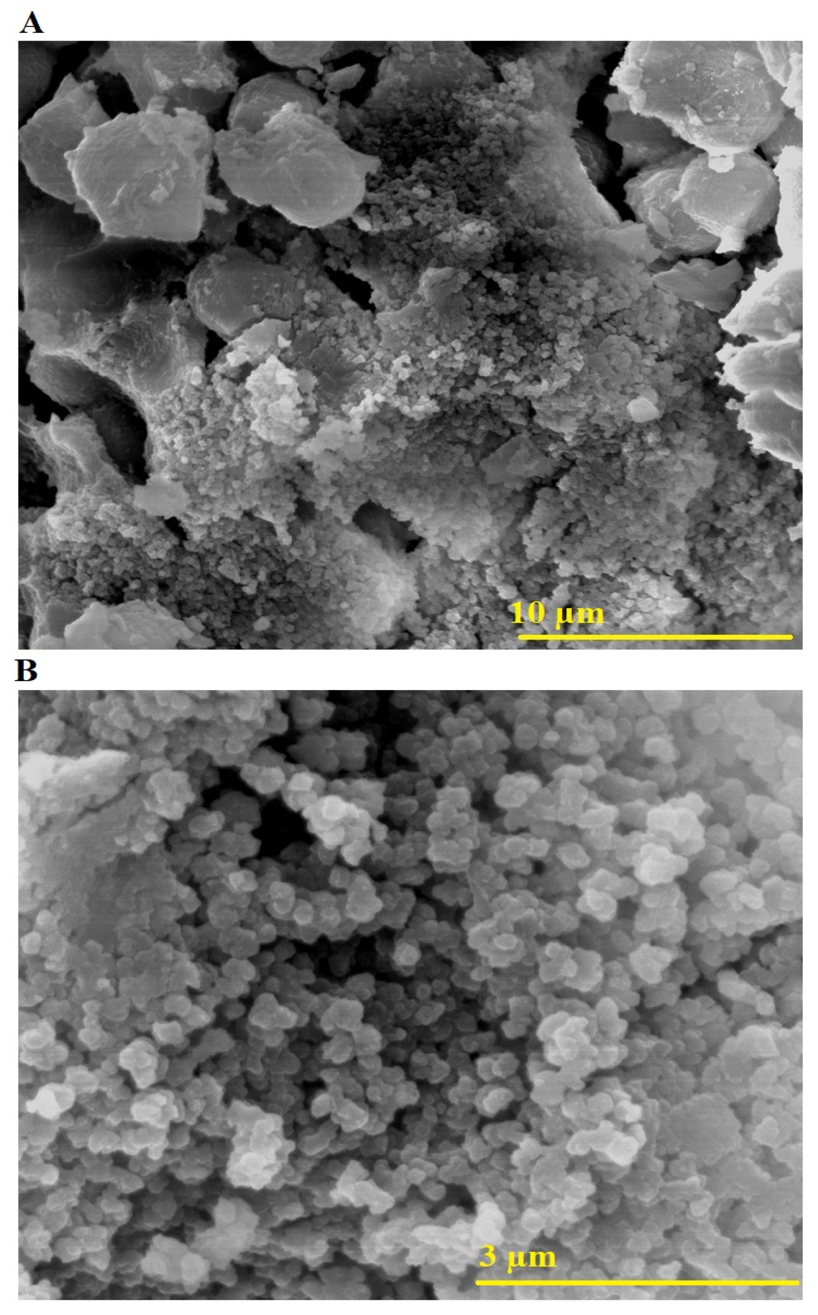 Inorganics 13 00120 g003