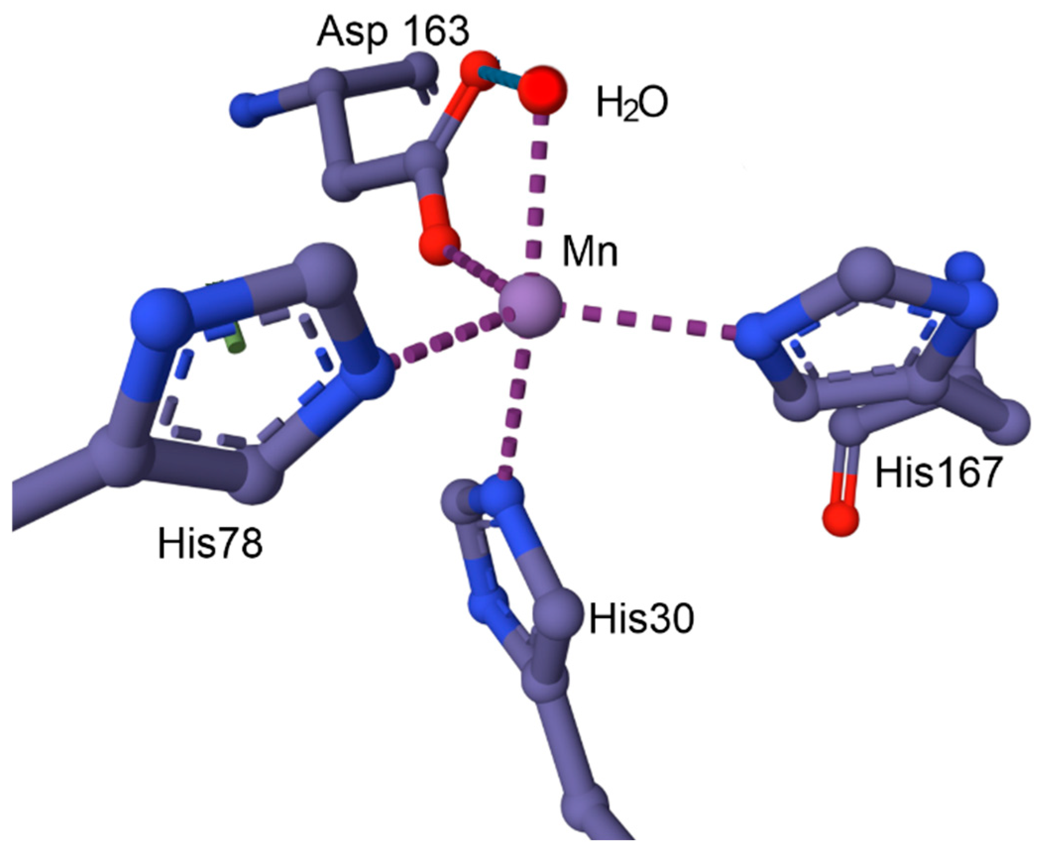Inorganics 13 00137 g012