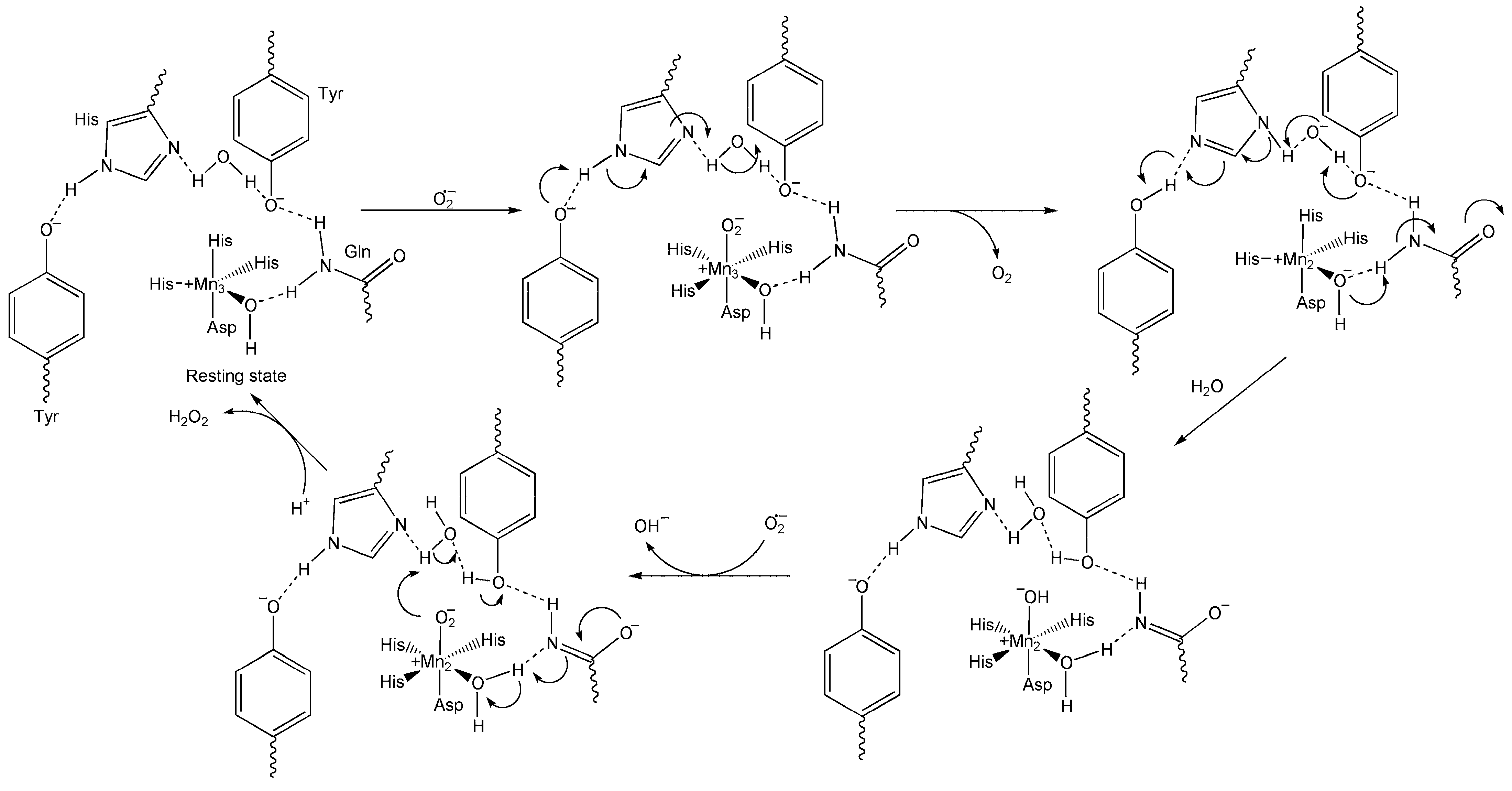 Inorganics 13 00137 g013