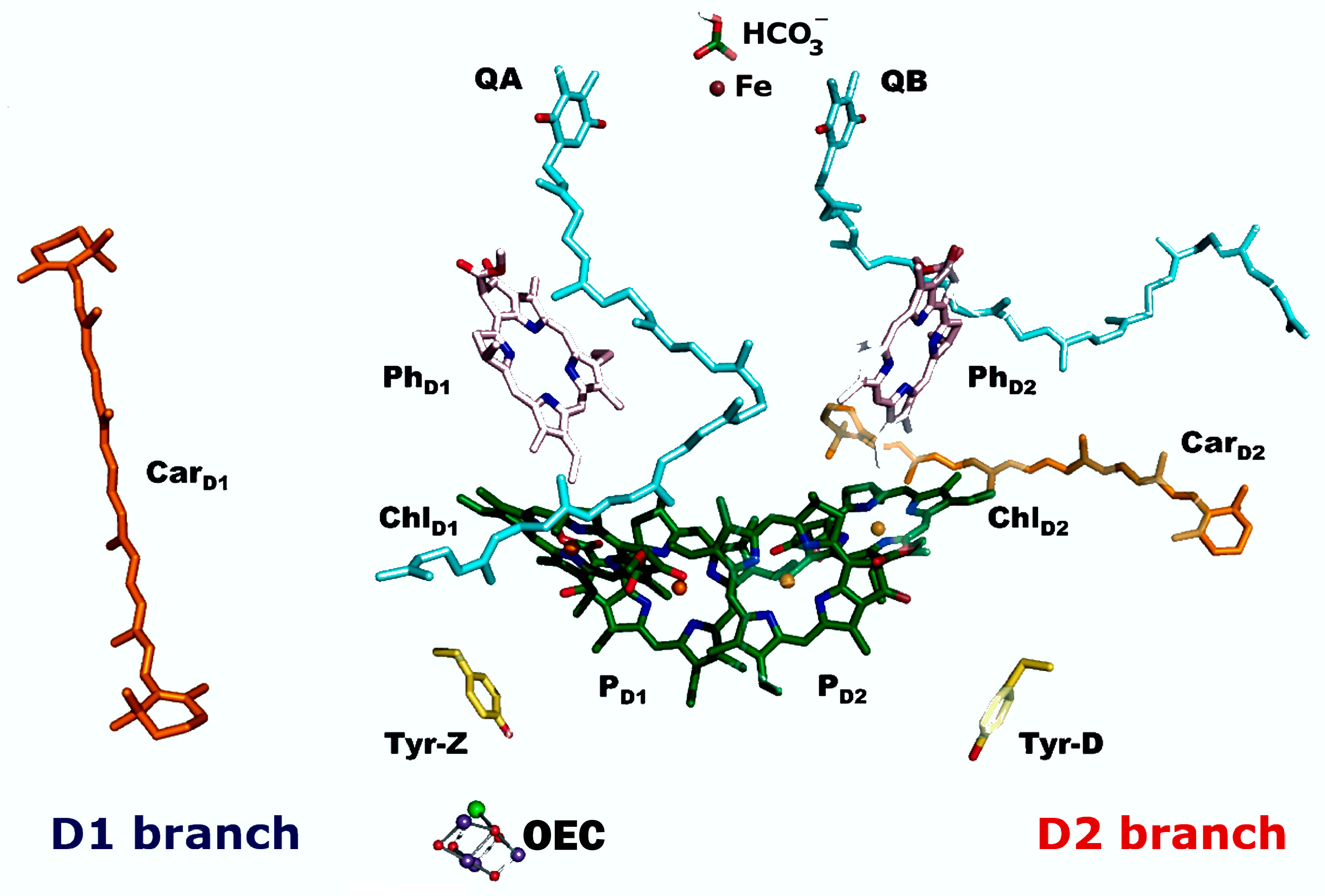 Inorganics 13 00137 g014