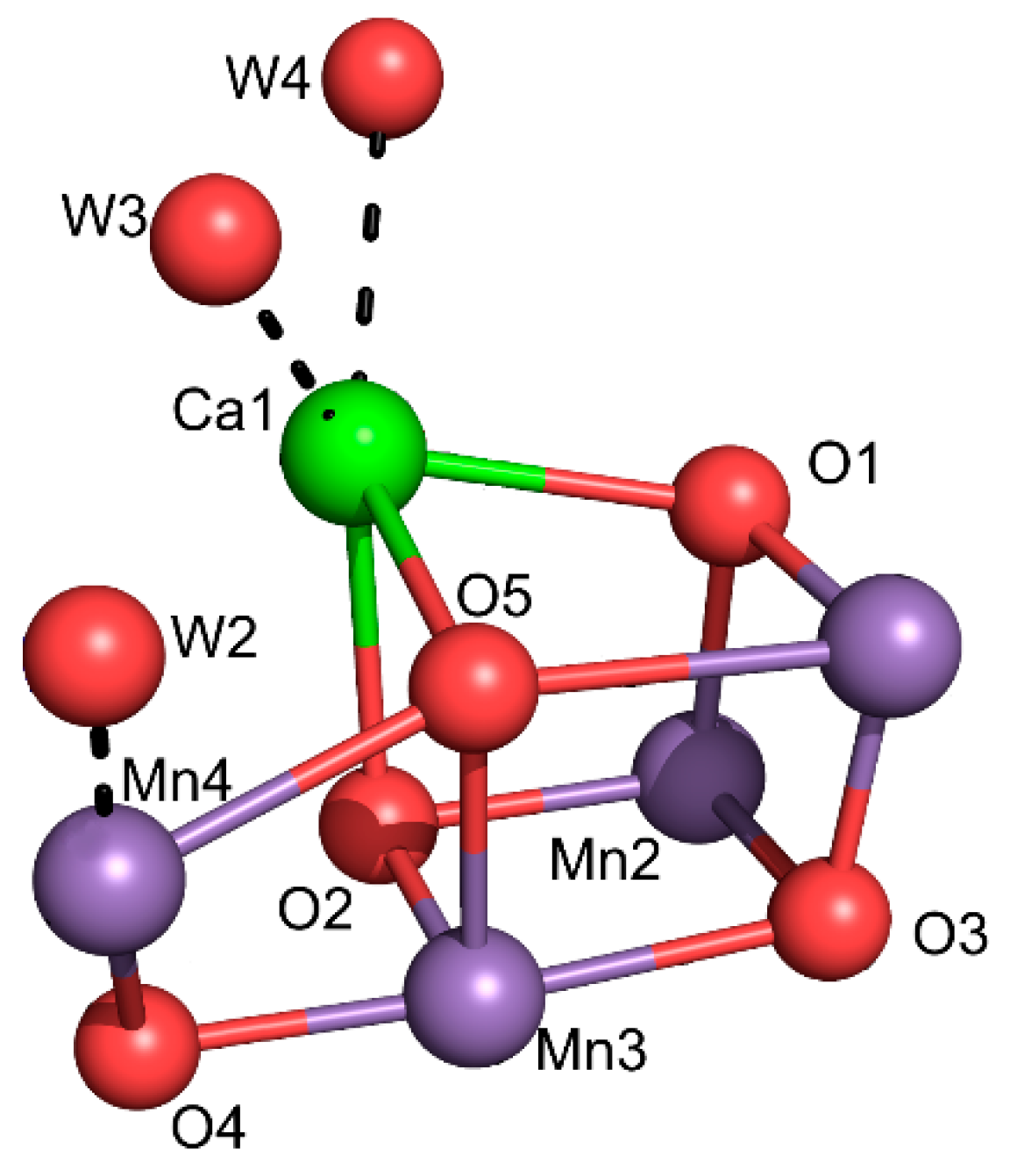 Inorganics 13 00137 g015