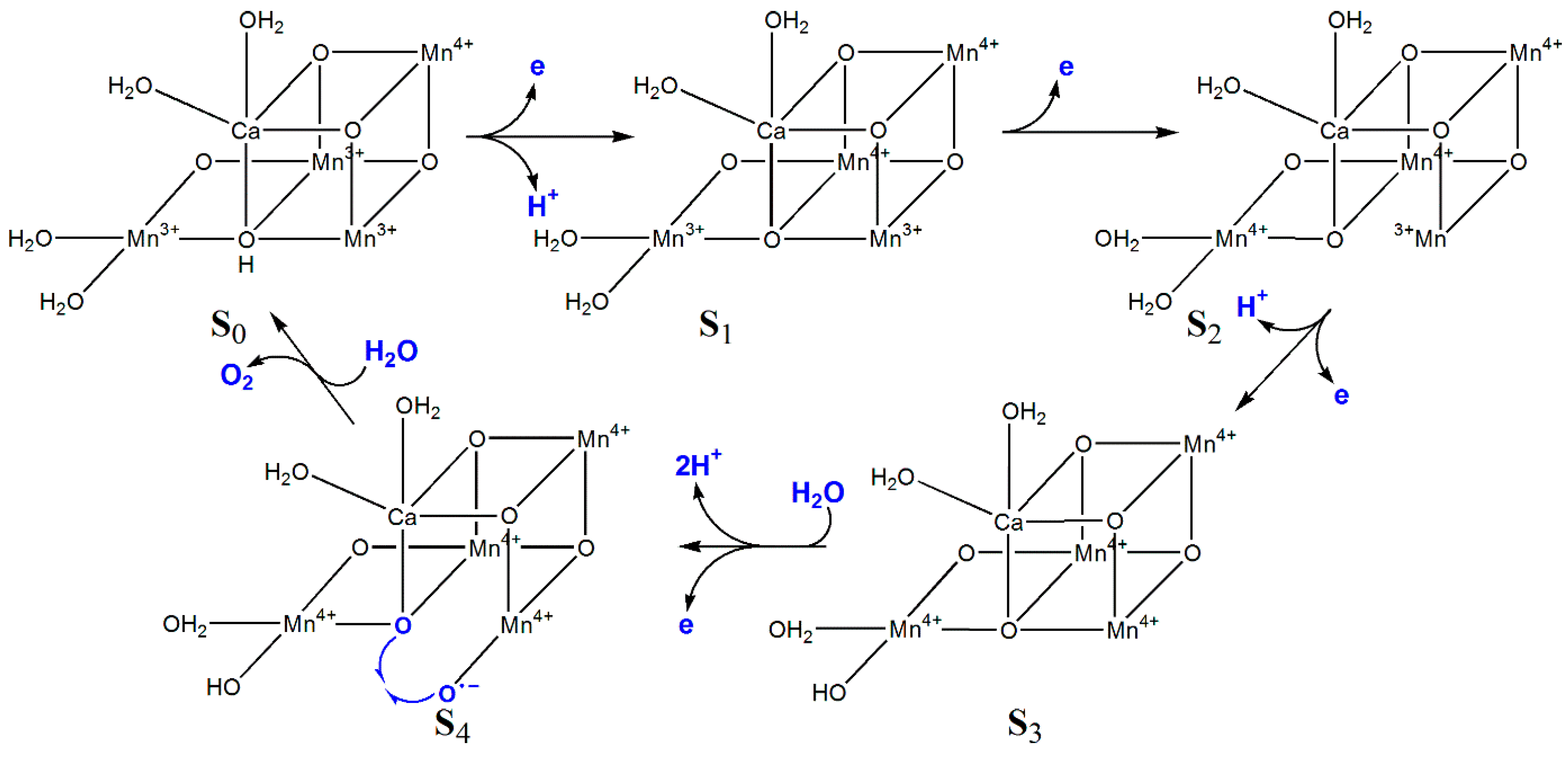 Inorganics 13 00137 g017