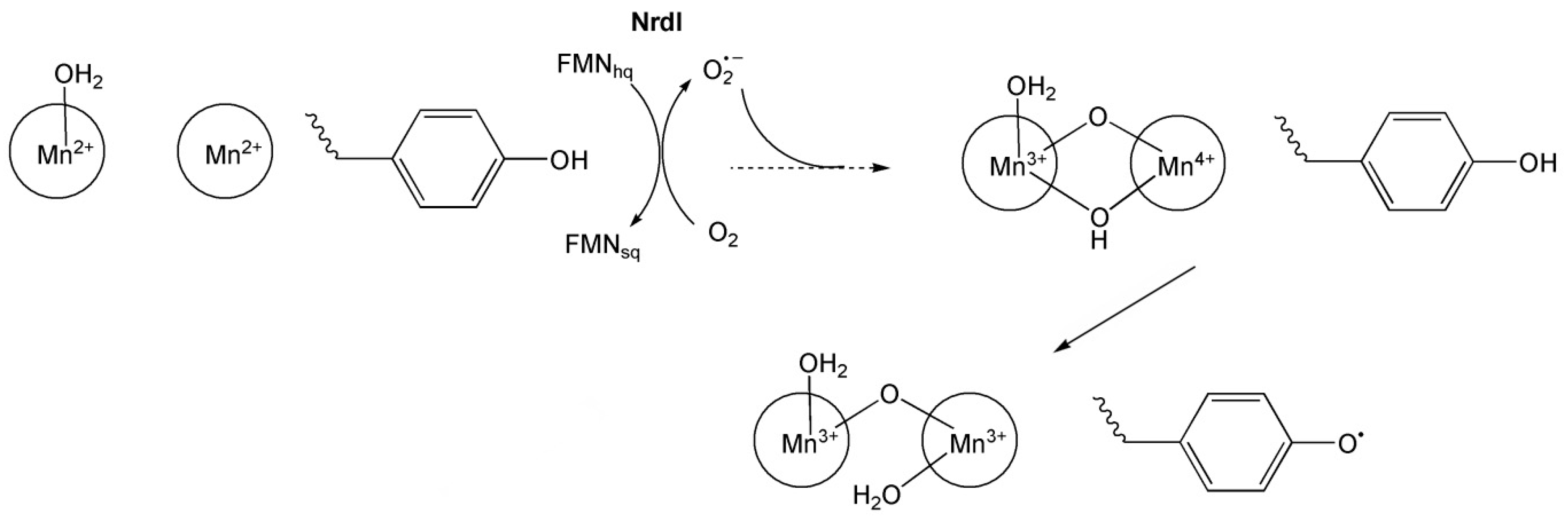 Inorganics 13 00137 g019