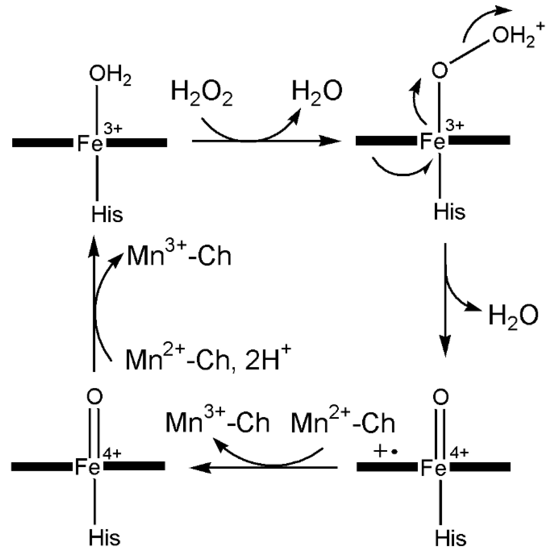 Inorganics 13 00137 g021