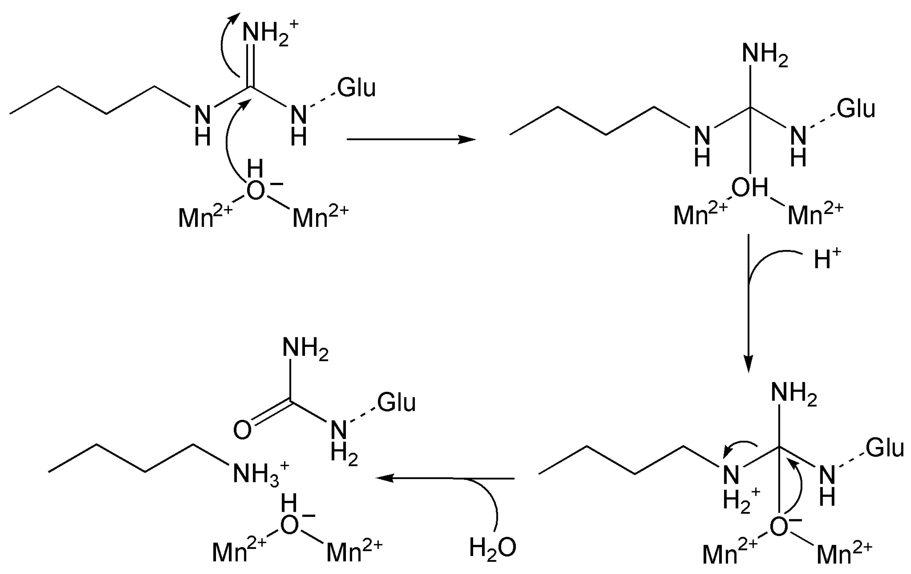 Inorganics 13 00137 g026