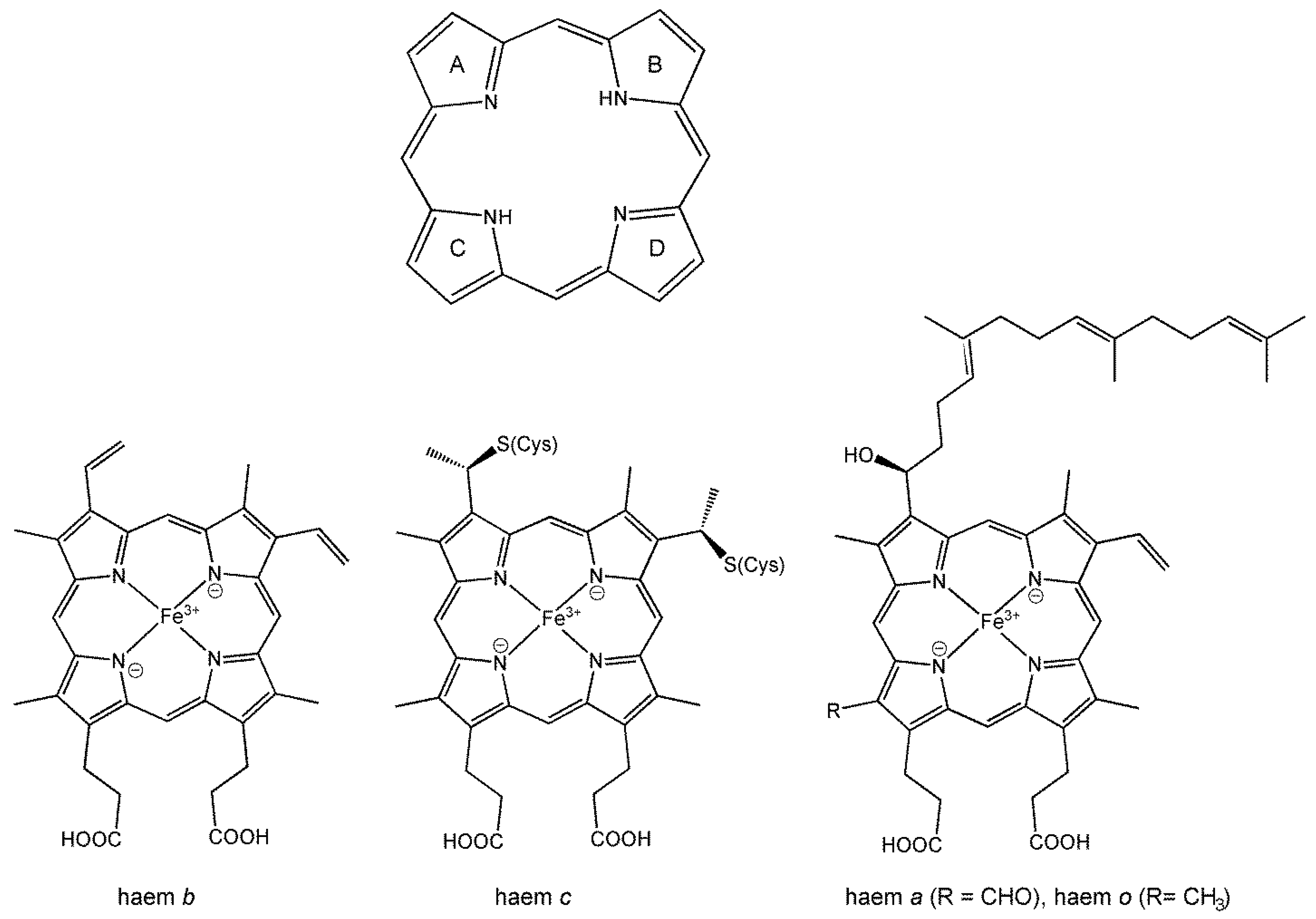 Inorganics 13 00137 g030