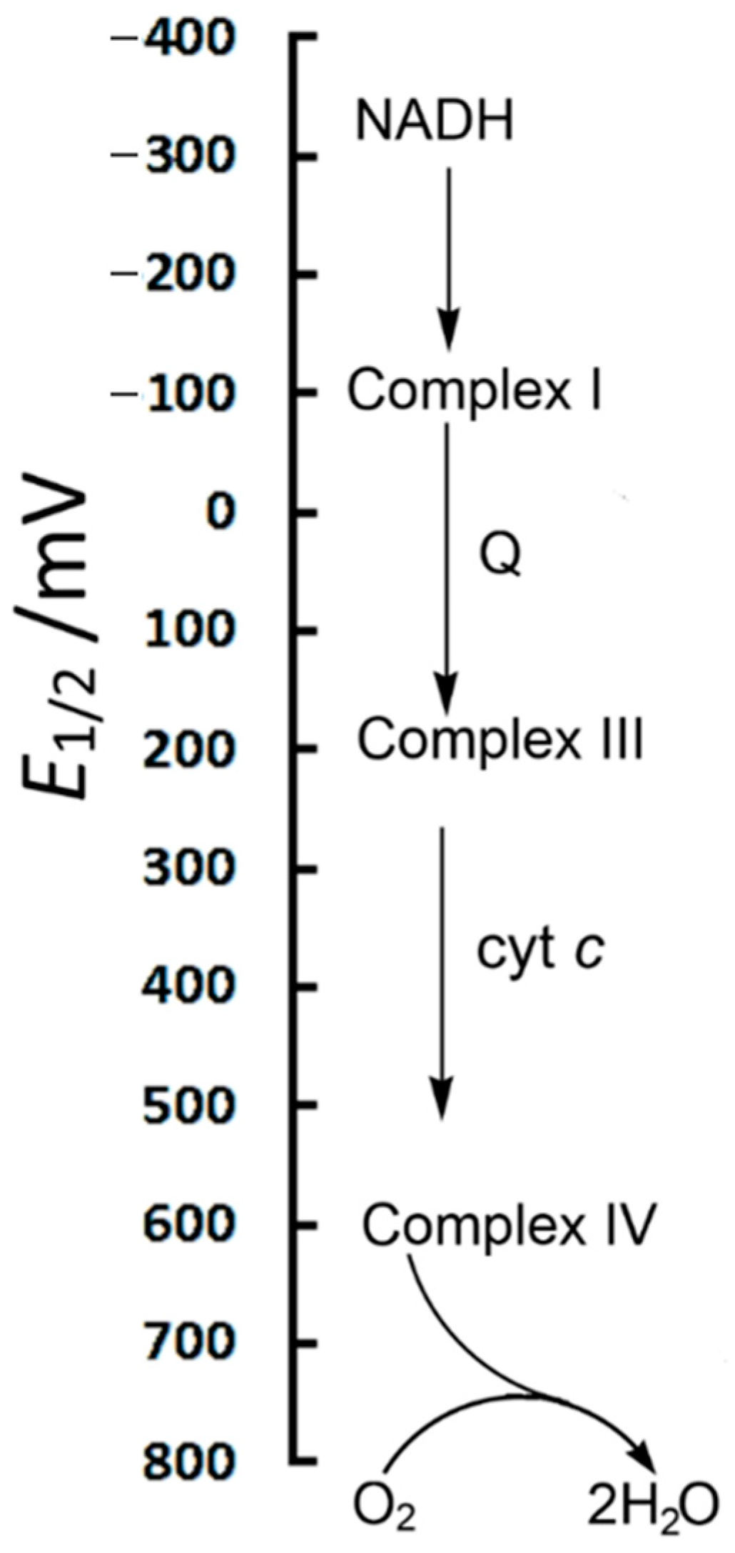 Inorganics 13 00137 g036
