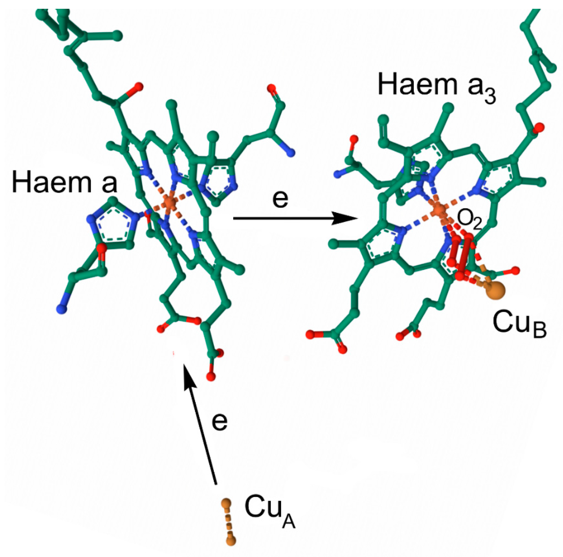 Inorganics 13 00137 g039