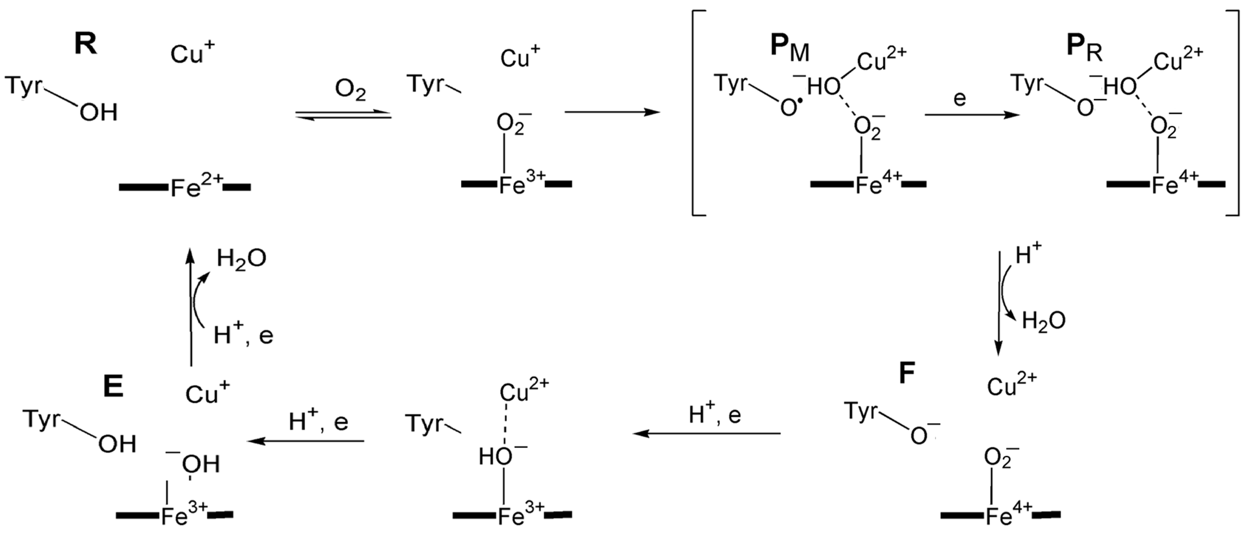 Inorganics 13 00137 g040