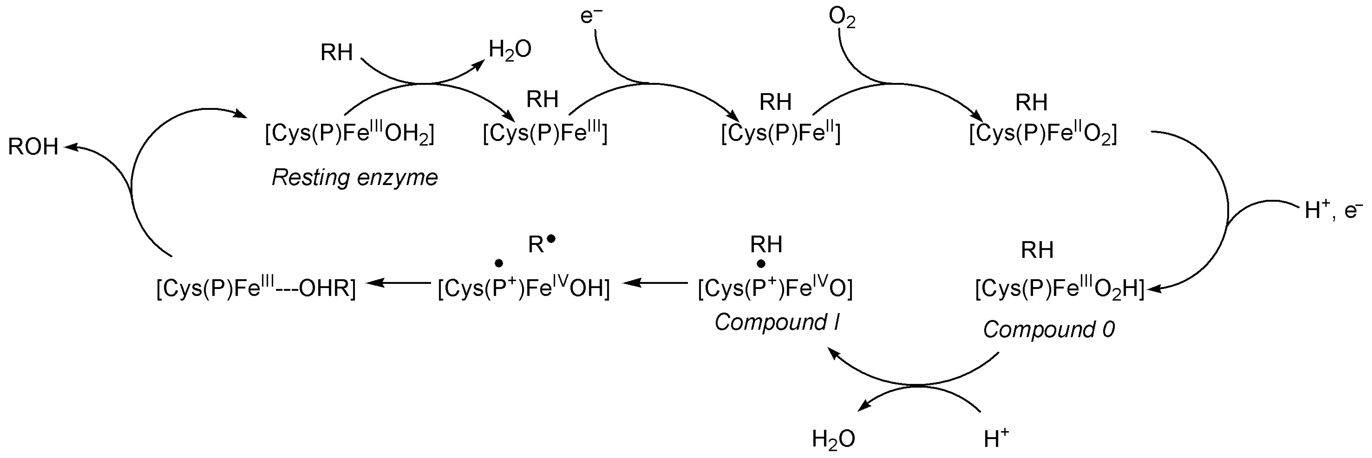 Inorganics 13 00137 g041