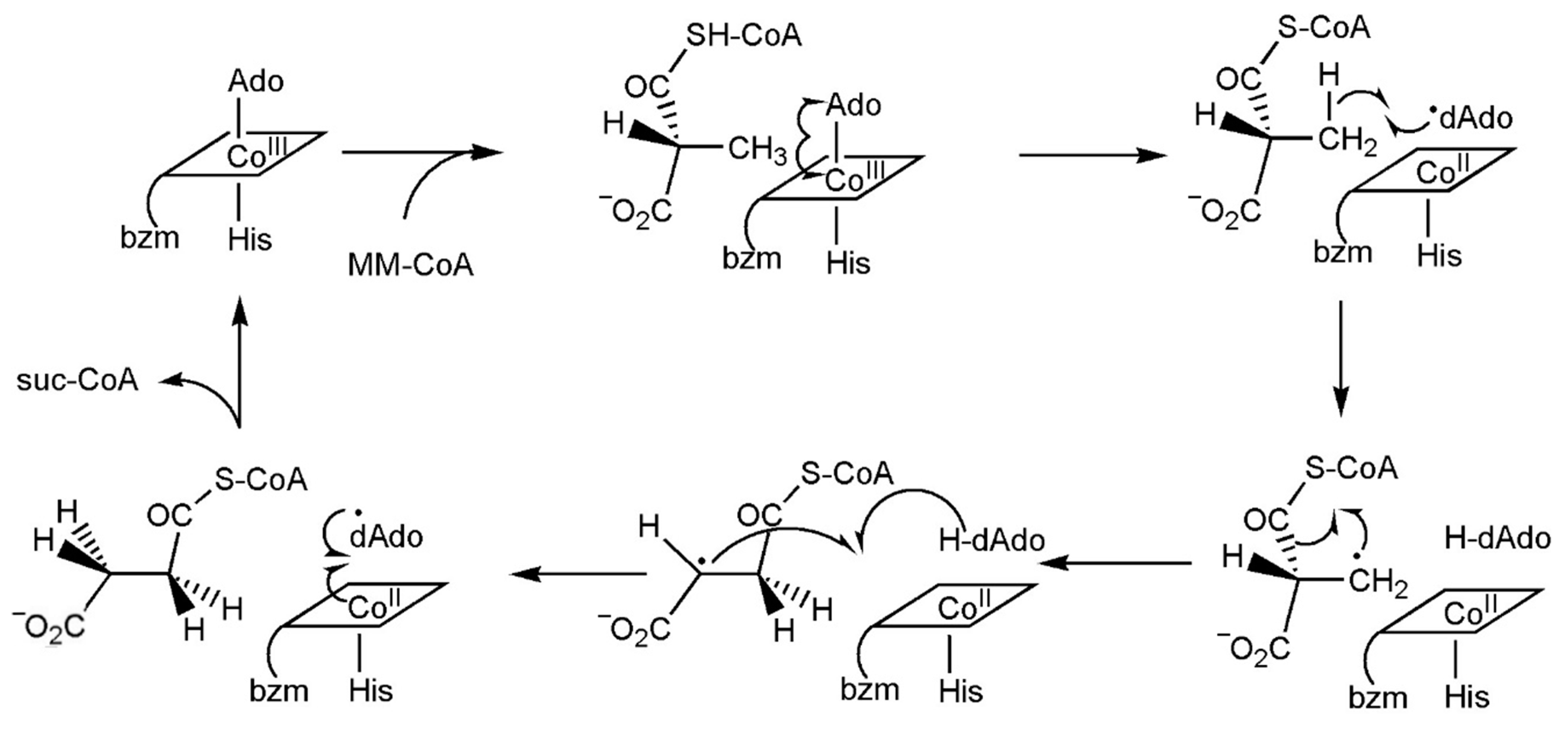 Inorganics 13 00137 g045