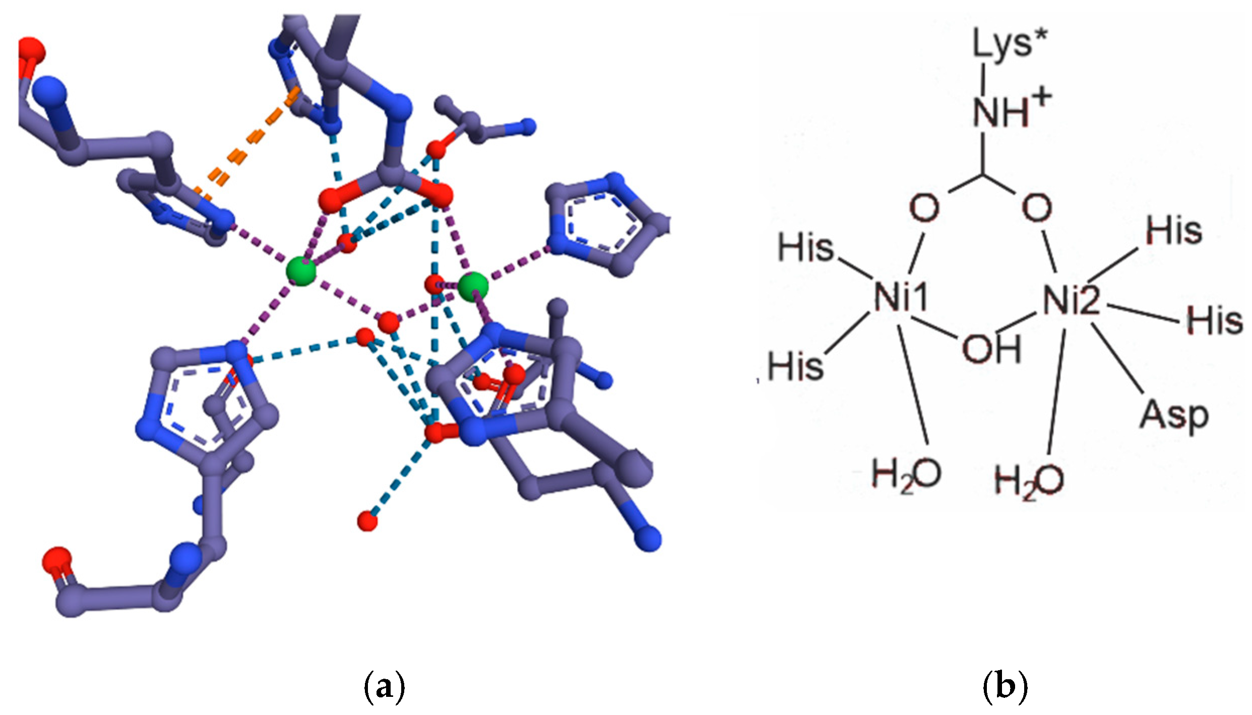 Inorganics 13 00137 g047