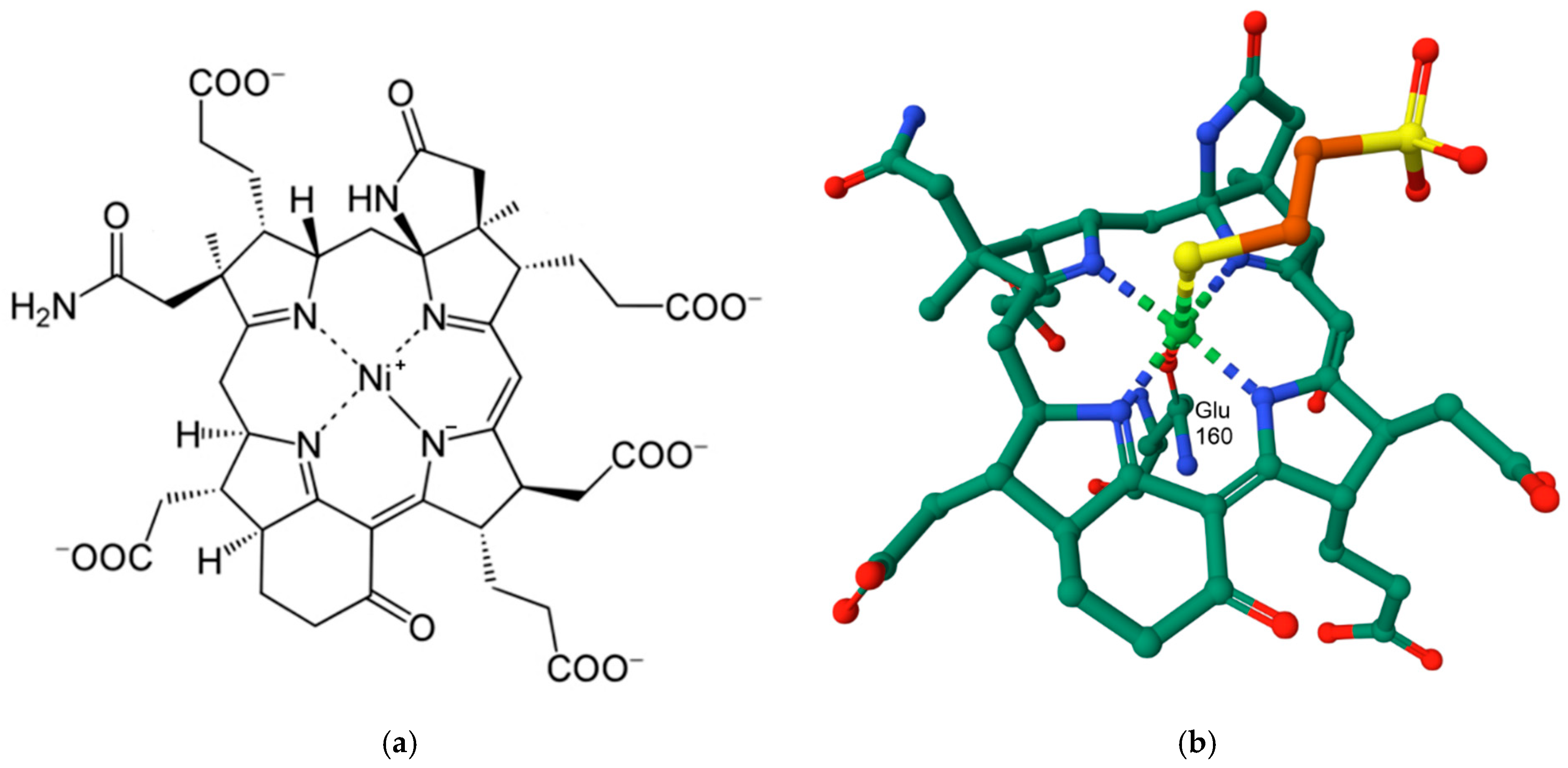 Inorganics 13 00137 g049