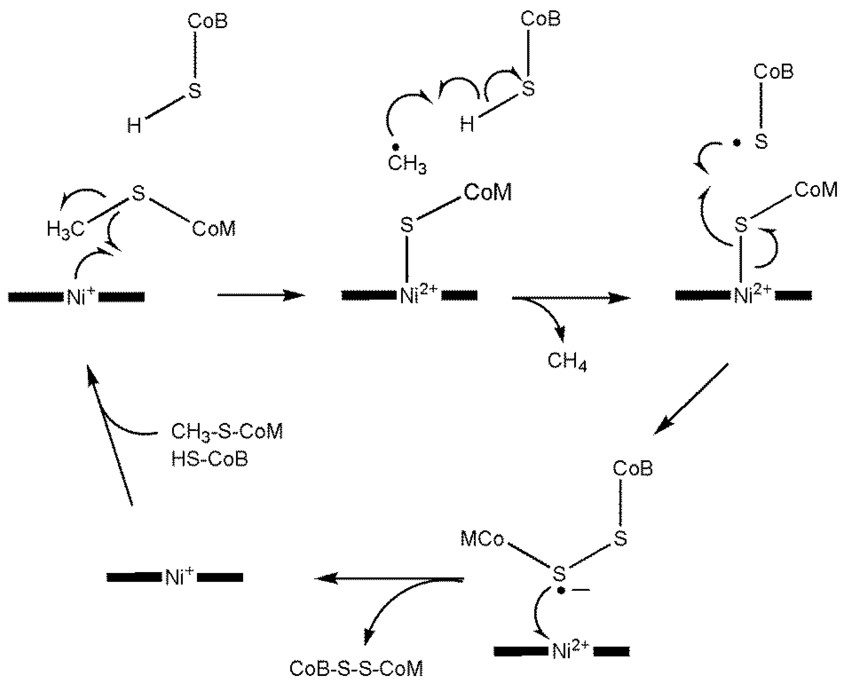 Inorganics 13 00137 g050